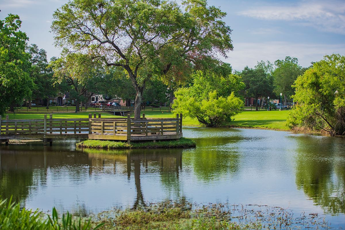 Pond, tree, green grass, blue skies, sunshine