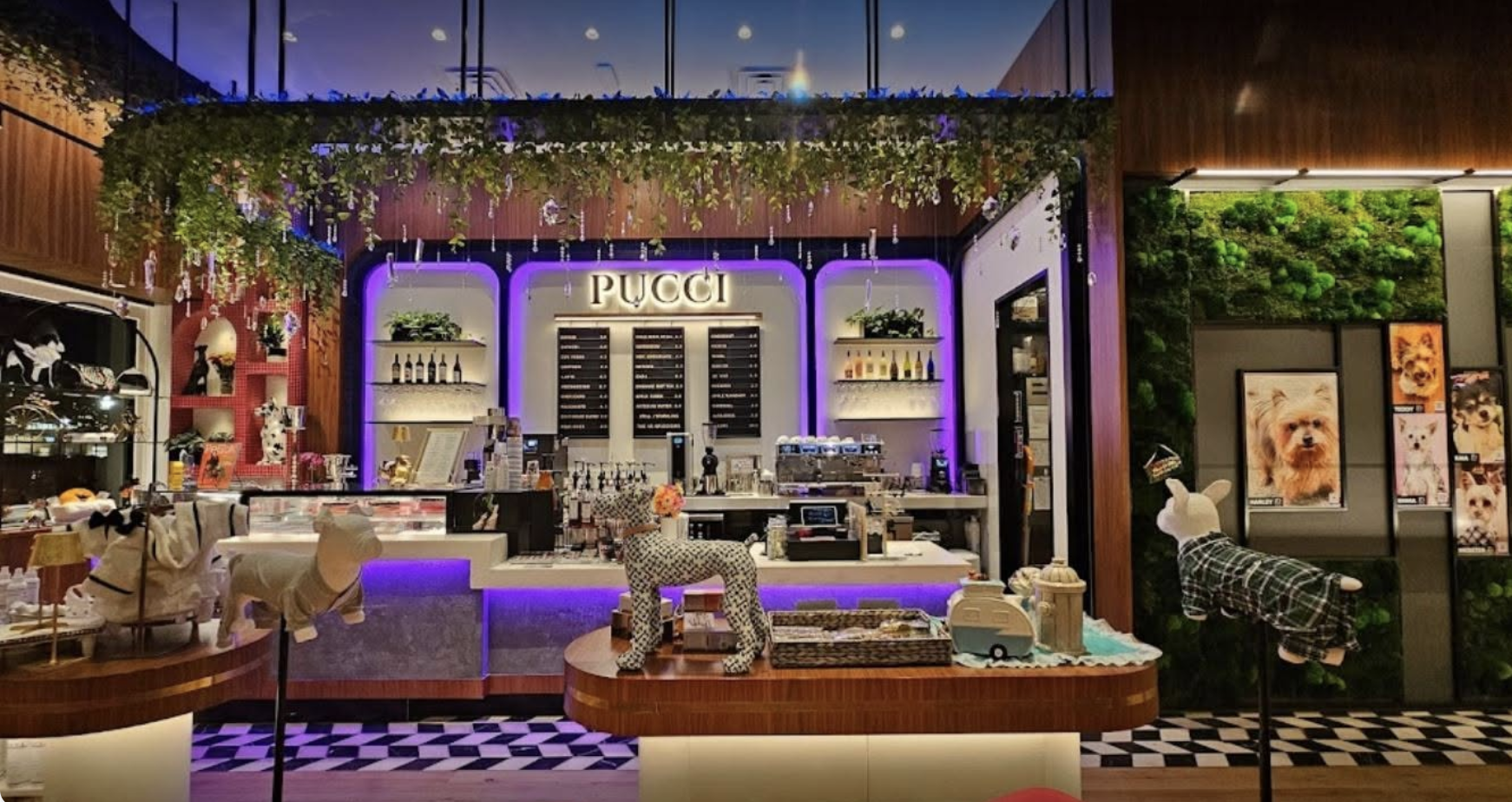 PUCCI Café & Pet Boutique