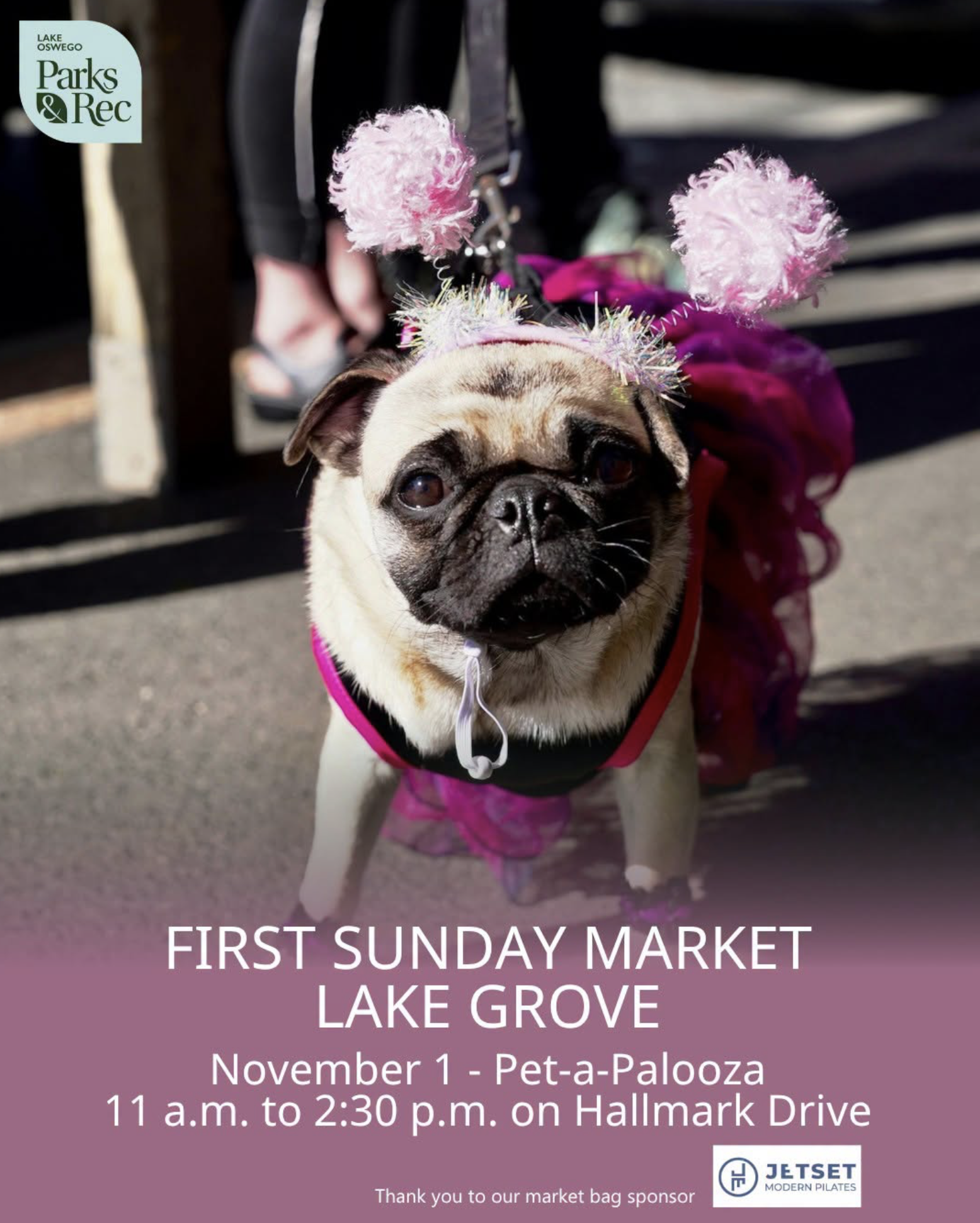 Pet-a-Palooza at Lake Grove's First Sunday Market on November 1