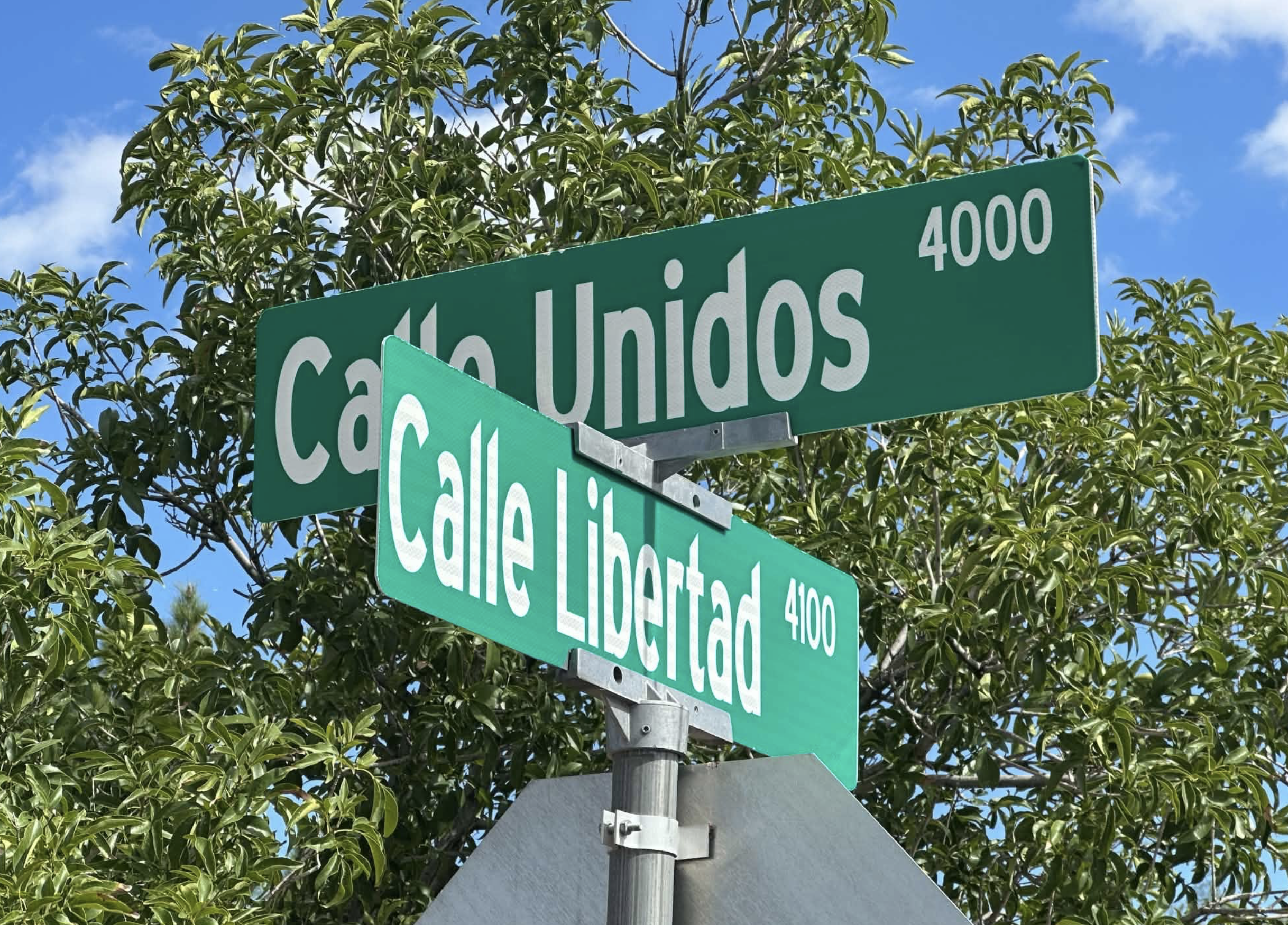 Las Cruces police found two people dead inside a home Saturday, Oct. 24, in what they are calling an apparent murder-suicide.