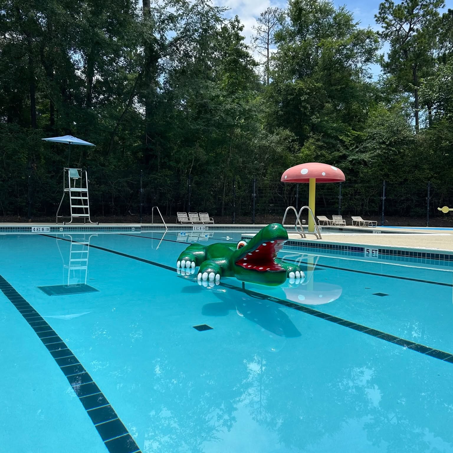Empty town pool and lifeguard stand