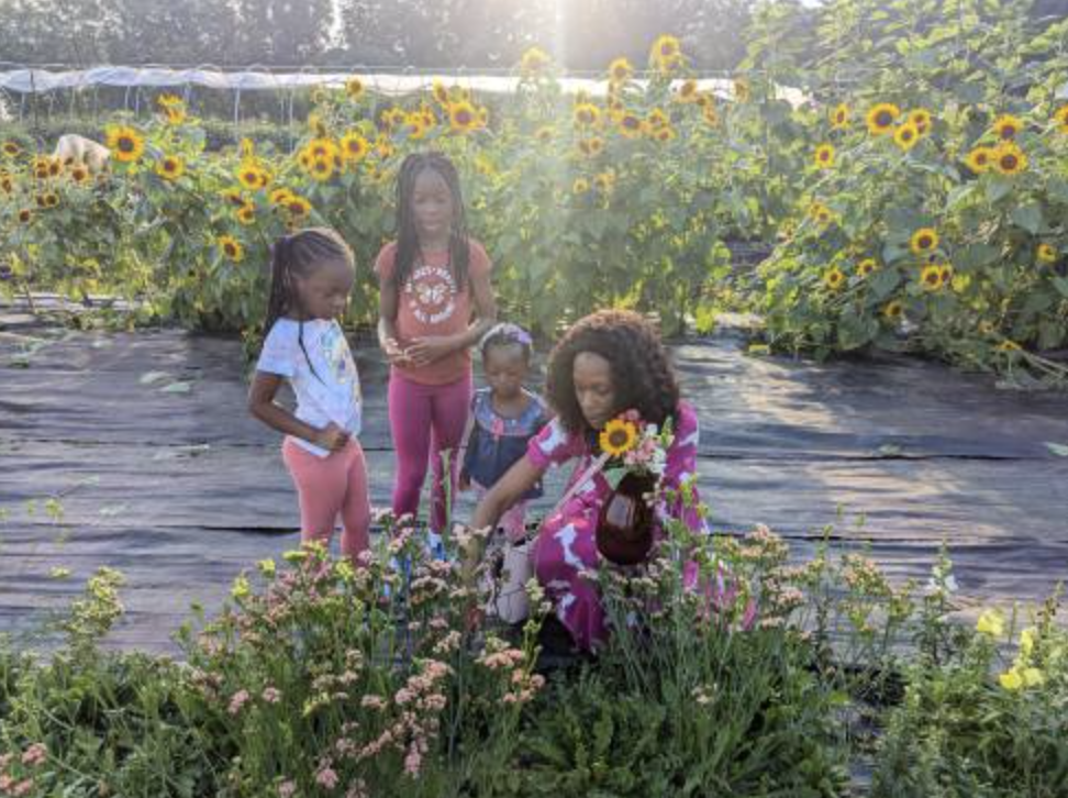 A woman and three children pick flowers in a sunflower field at MSU Extension Tollgate Farm in Novi.