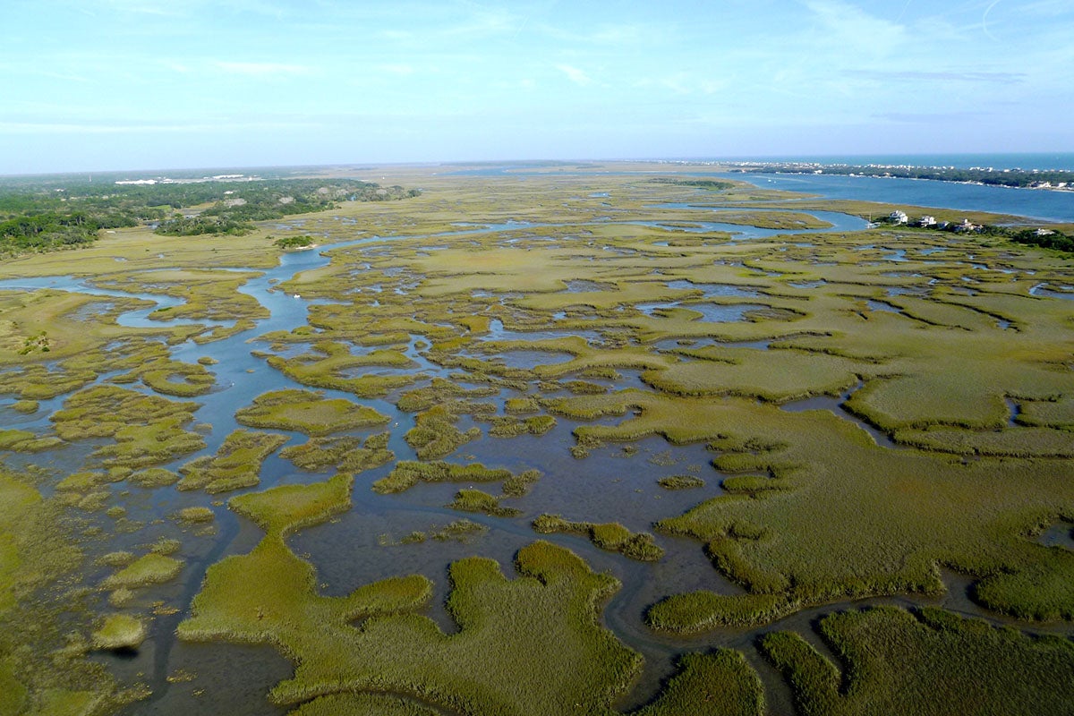 Aerial view of Tolomato Marsh with tidal creeks winding through green marshland.