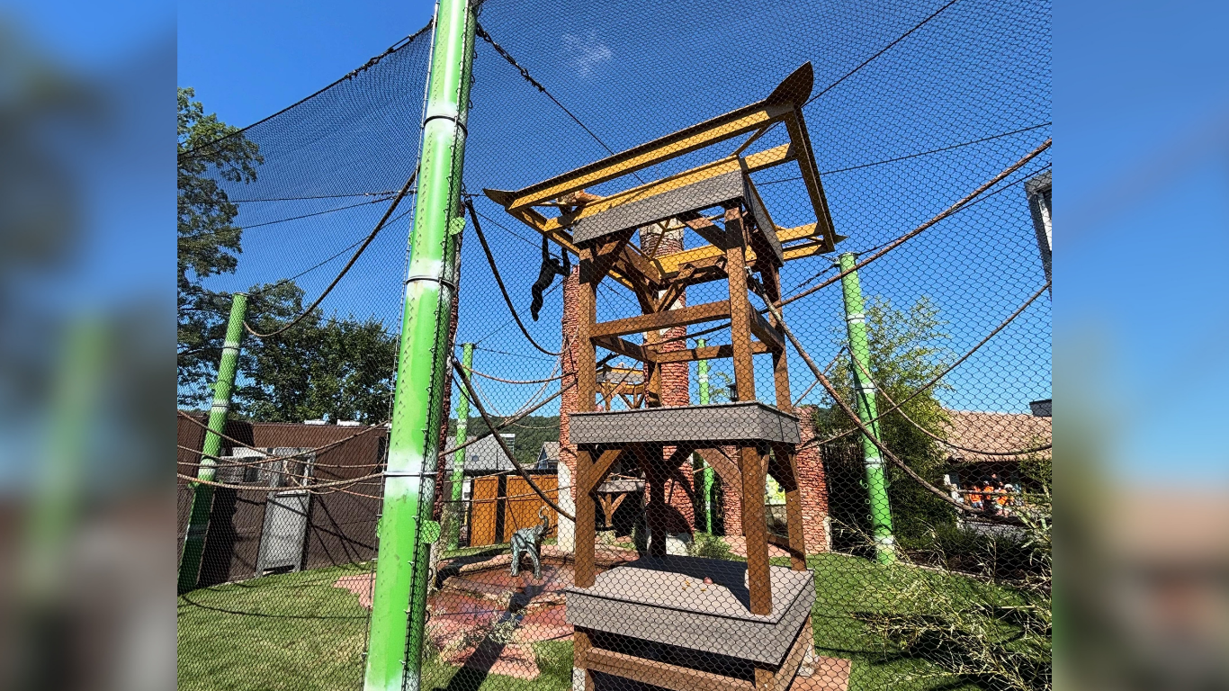 Wooden playground exhibit for animals at New Jersey zoo.