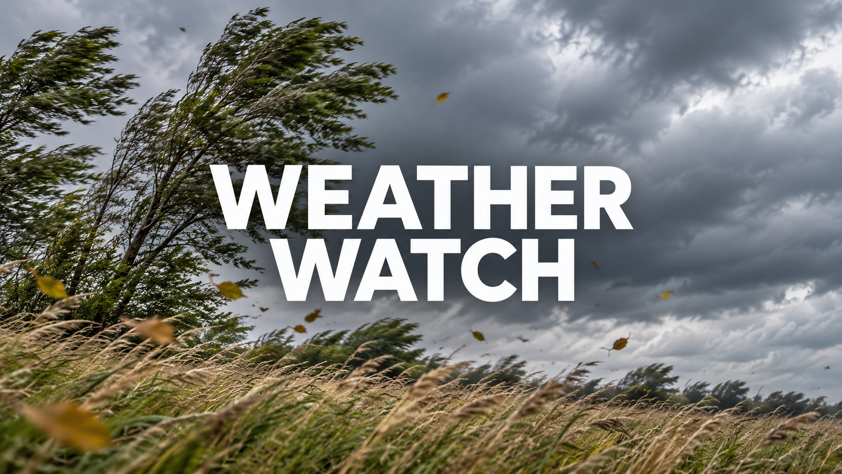 Gusty winds under gray skies with the text WEATHER WATCH. 