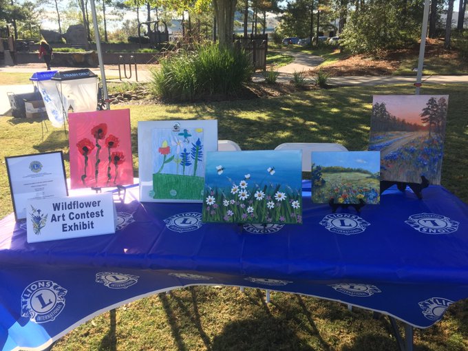 Outdoor display of the Wildflower Art Contest Exhibit, featuring several colorful paintings of wildflowers and landscapes arranged on a blue Lions Club tablecloth.