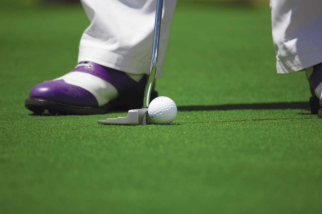 Golf, golf ball, golfing, hole, golf course, nature, putting, cup, field, grass, sport, ground, ball, green, golf club, 