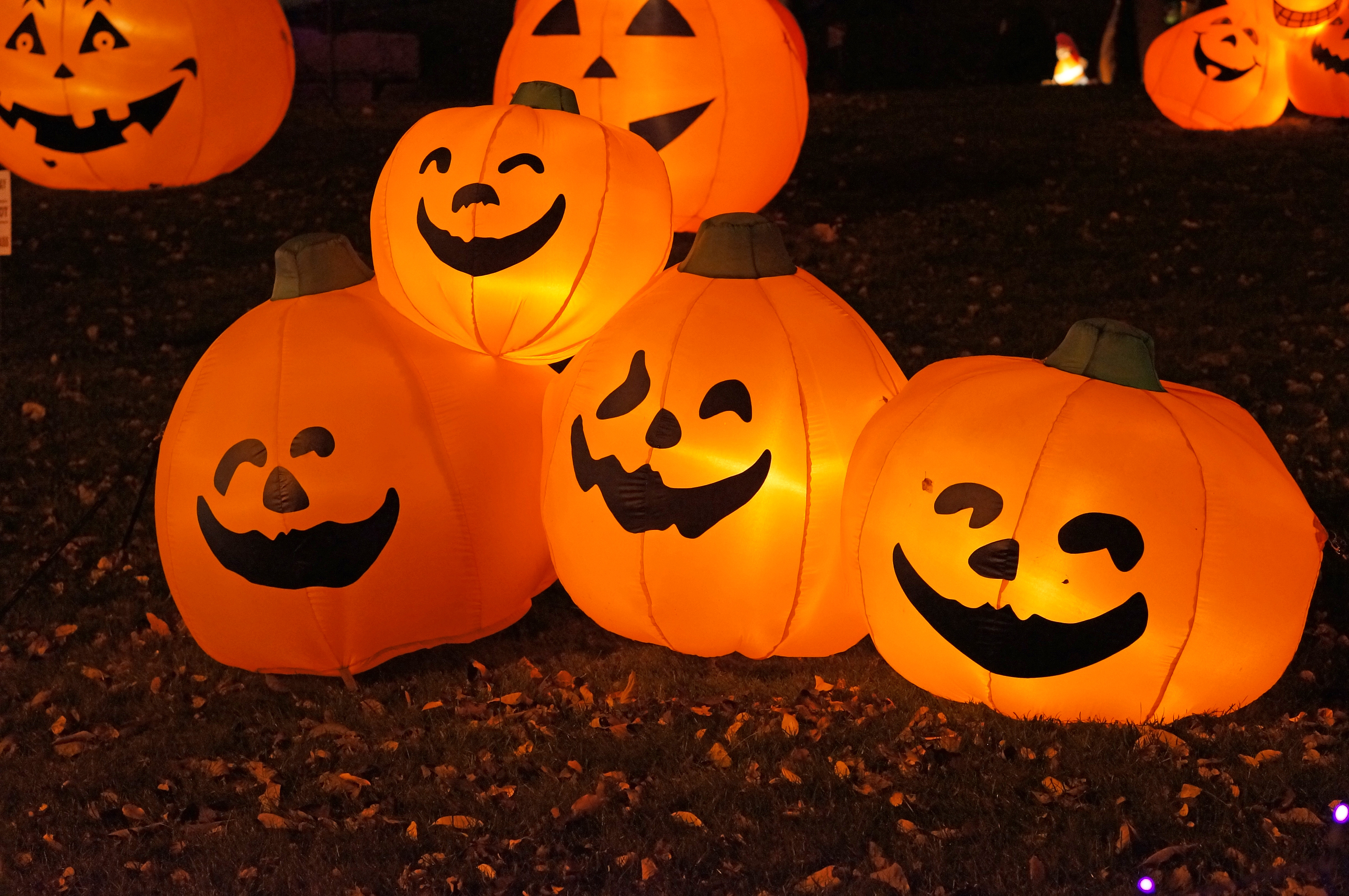 Several glowing inflatable jack-o'-lantern decorations lit up in a yard at night.