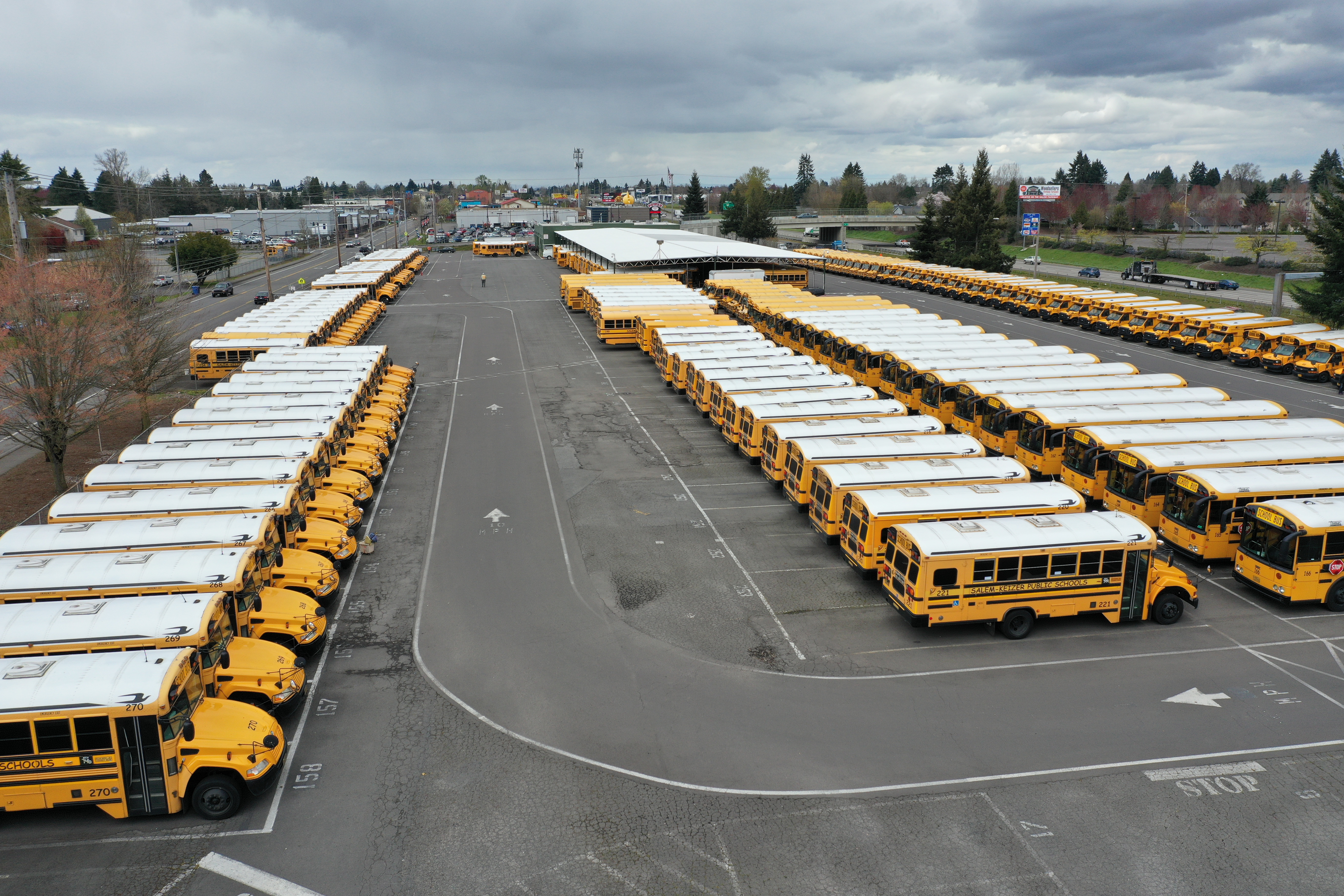 Dozens of yellow school buses parked in rows at a large depot lot.