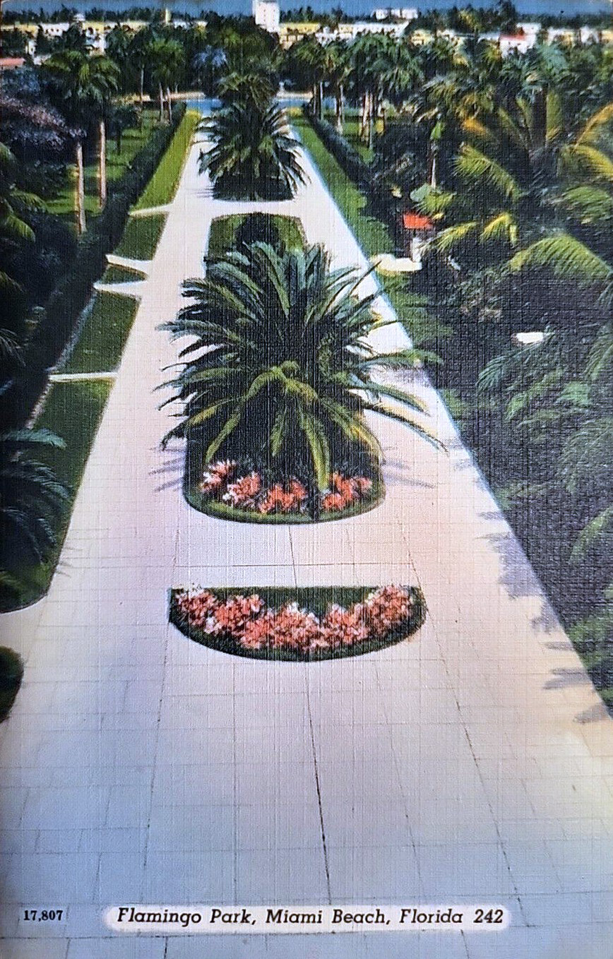 Palm-tree-lined promenade at Flamingo Park in Miami Beach.