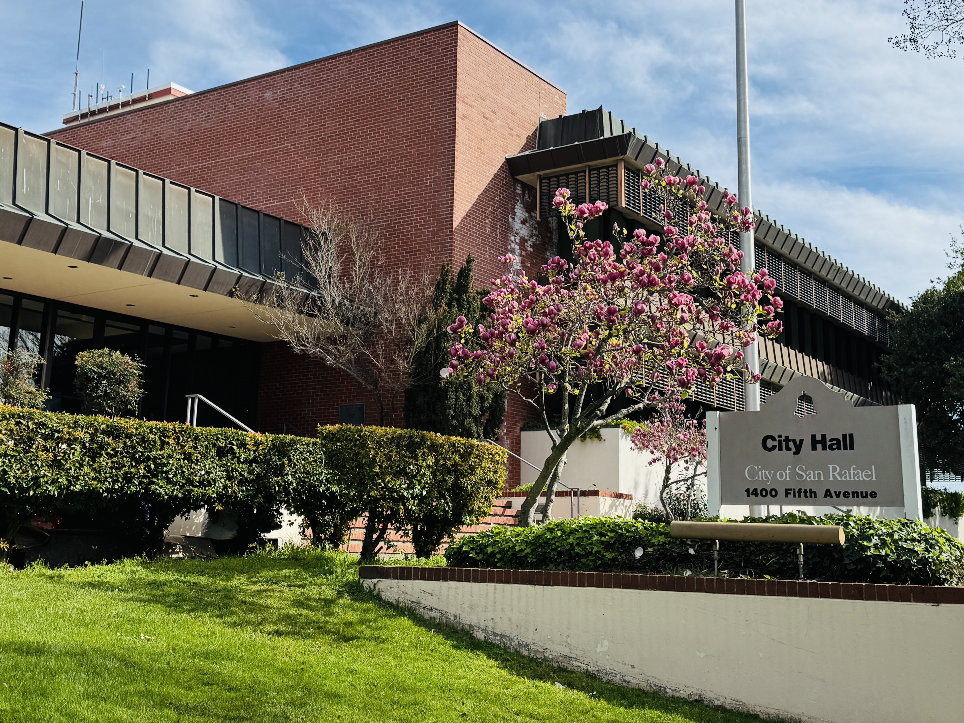 Brick municipal building with a pink flowering tree and a city hall sign in front.