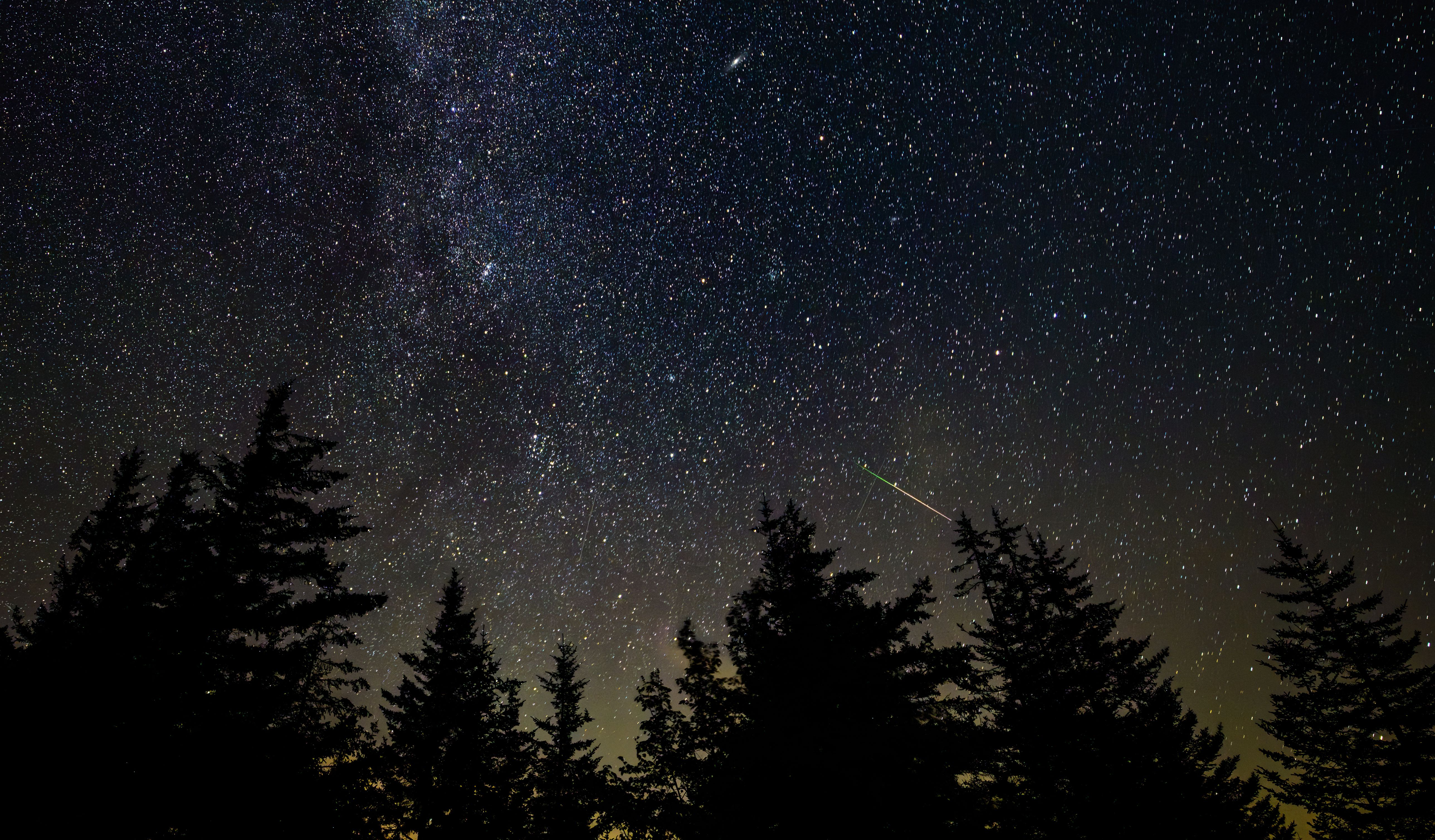 A bright meteor streak cuts across a star-filled night sky above silhouetted trees.