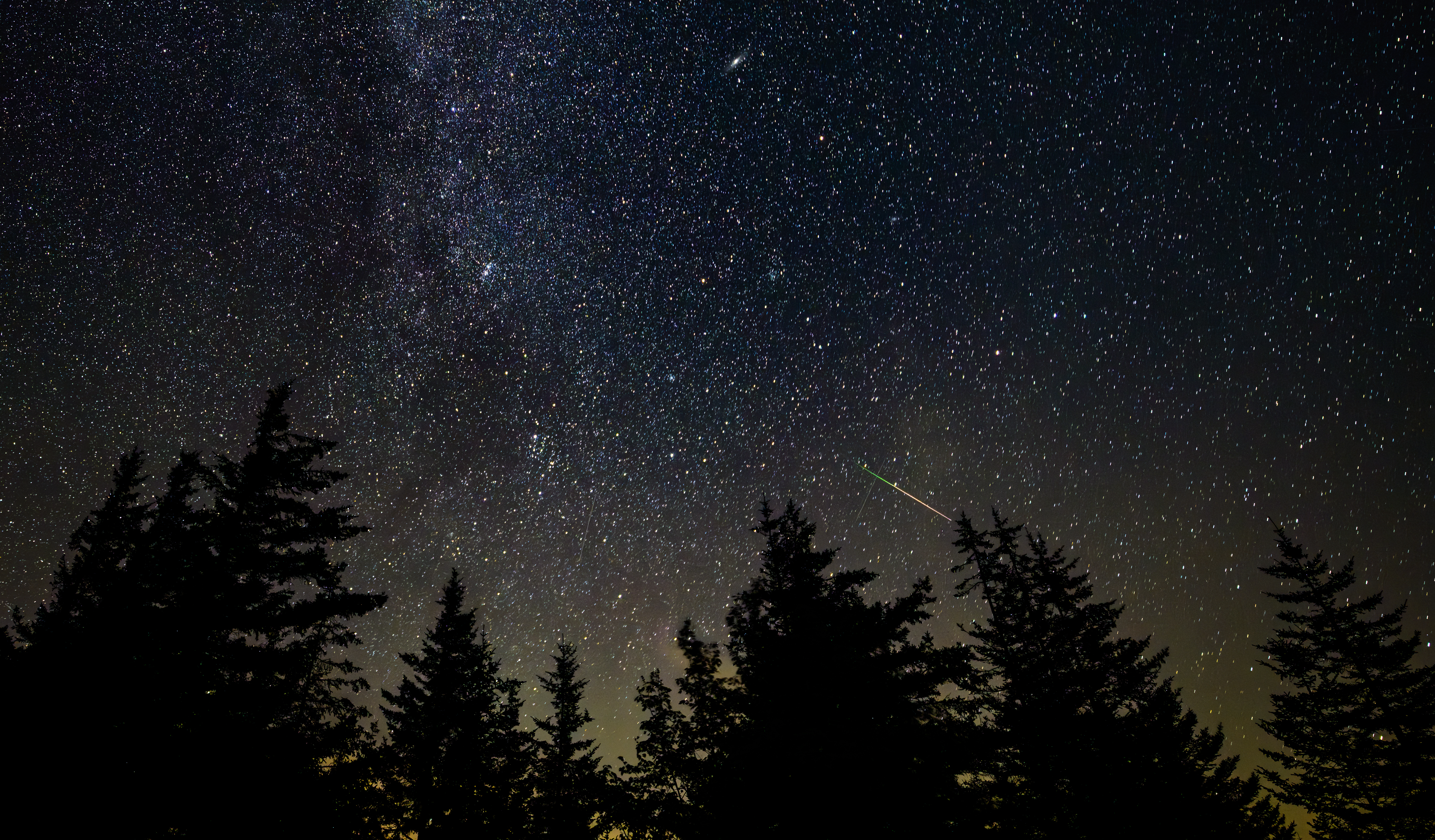 A bright meteor streak cuts across a star-filled night sky above silhouetted trees.