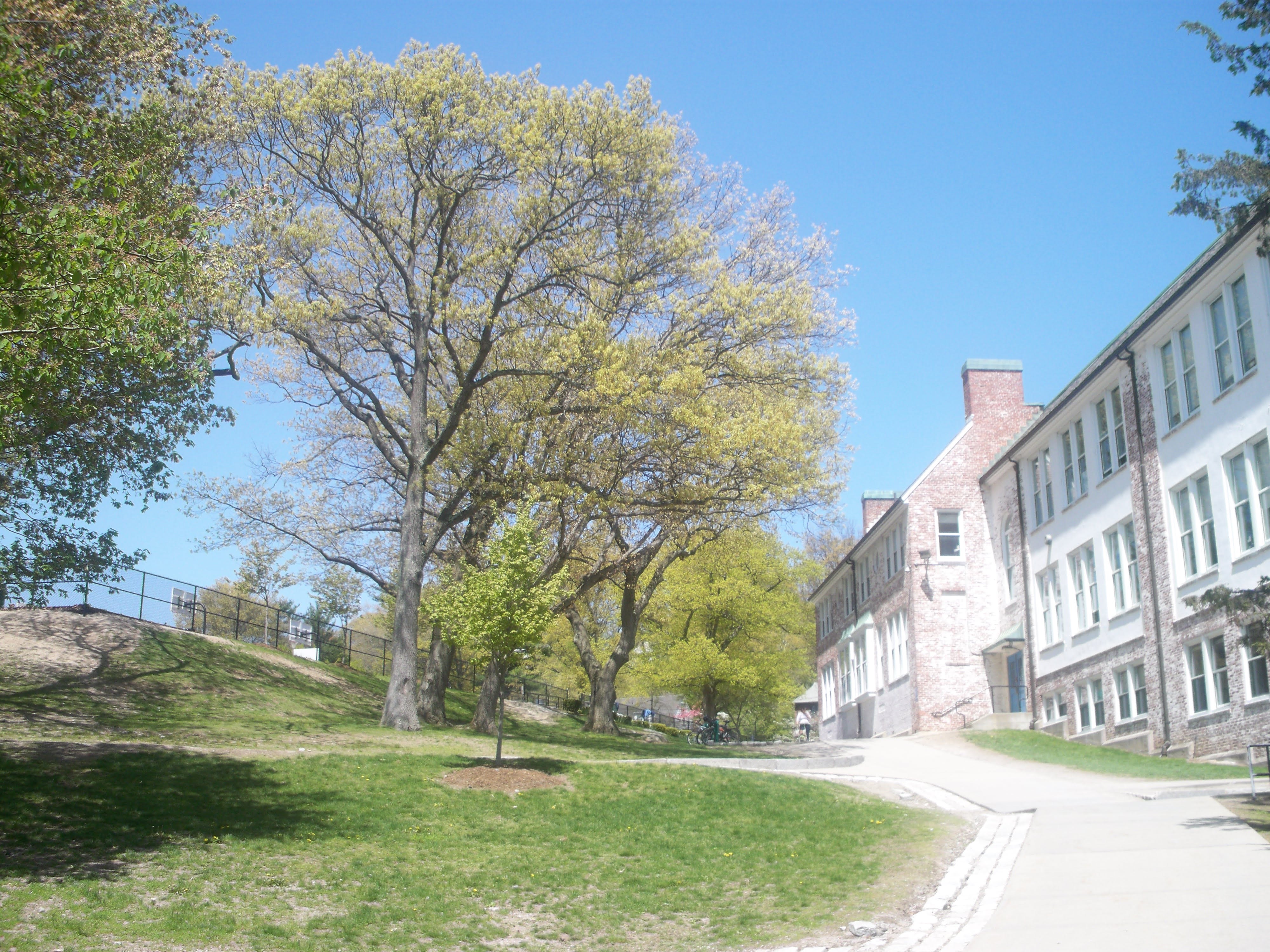 Brick school building with chimney and trees on a sunny day.
