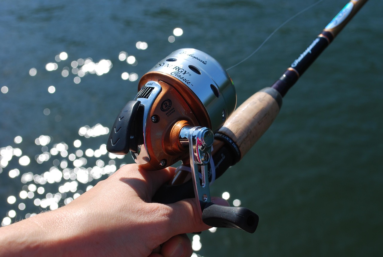 Fishing, fishing rod, lake, nature, pole, fisherman, recreation, leisure