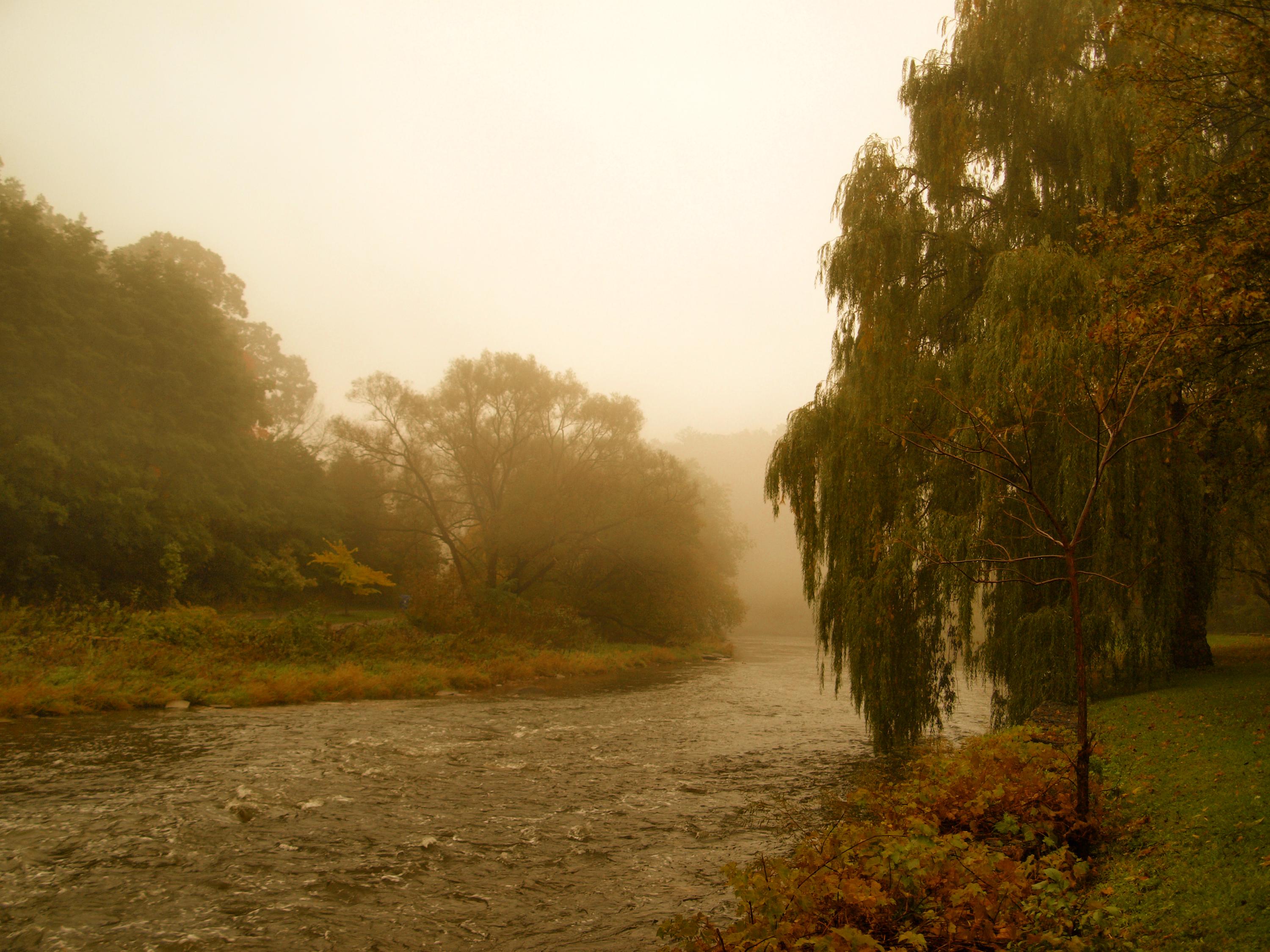 A foggy river scene with overcast skies and willow trees along the banks.