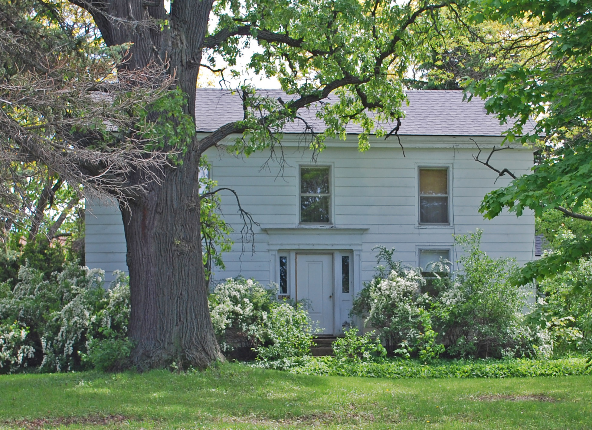 Two-story white clapboard historic house surrounded by large trees and flowering shrubs.