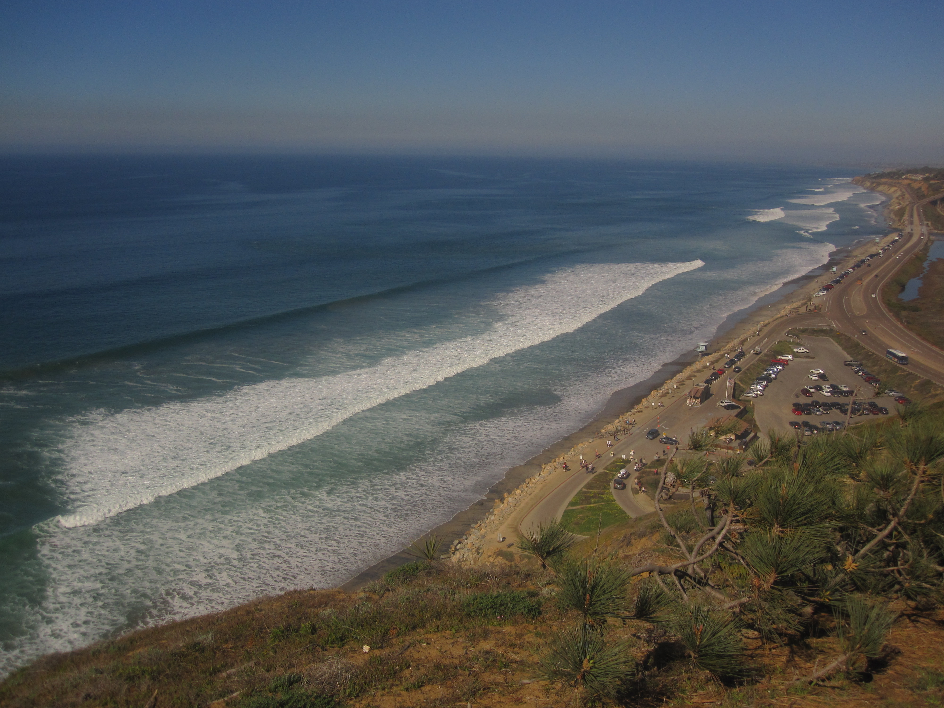 Aerial view of a coastal road beside a sandy beach with native shrubs in the foreground.