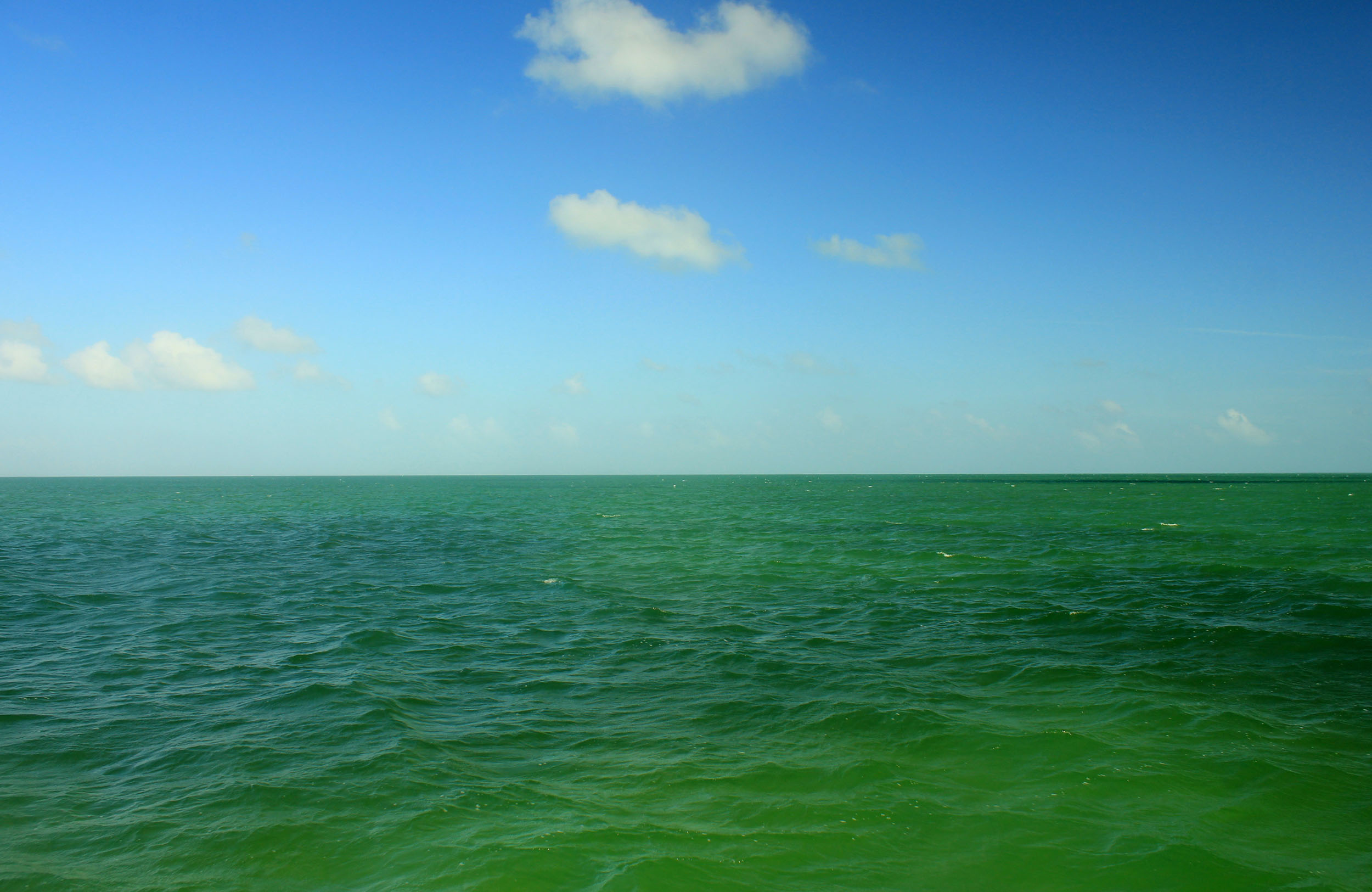 Green bay water viewed from a boat under a partly cloudy sky.