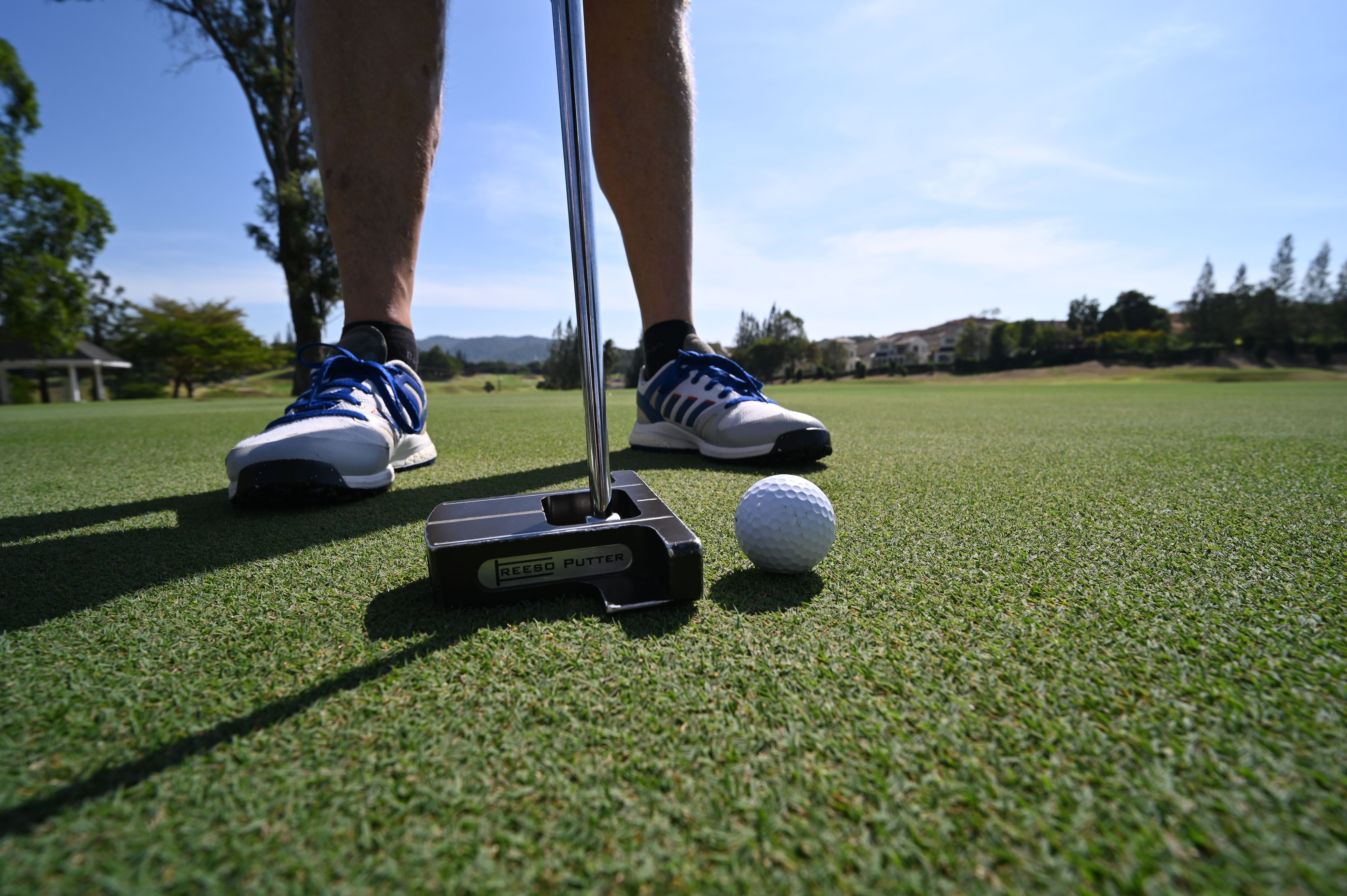 Close-up of a putter aligned behind a golf ball on a putting green.