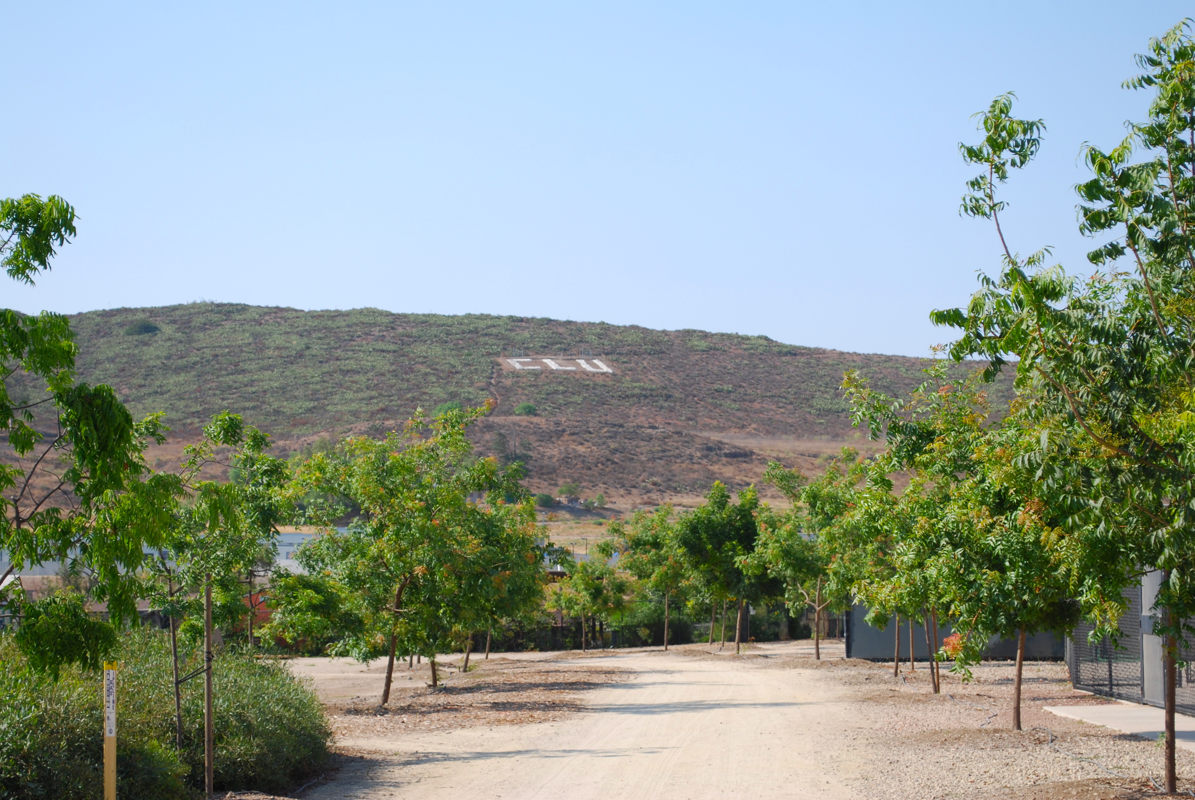 Large white letters spelling CLU on a dry hillside above a tree-lined gravel path.