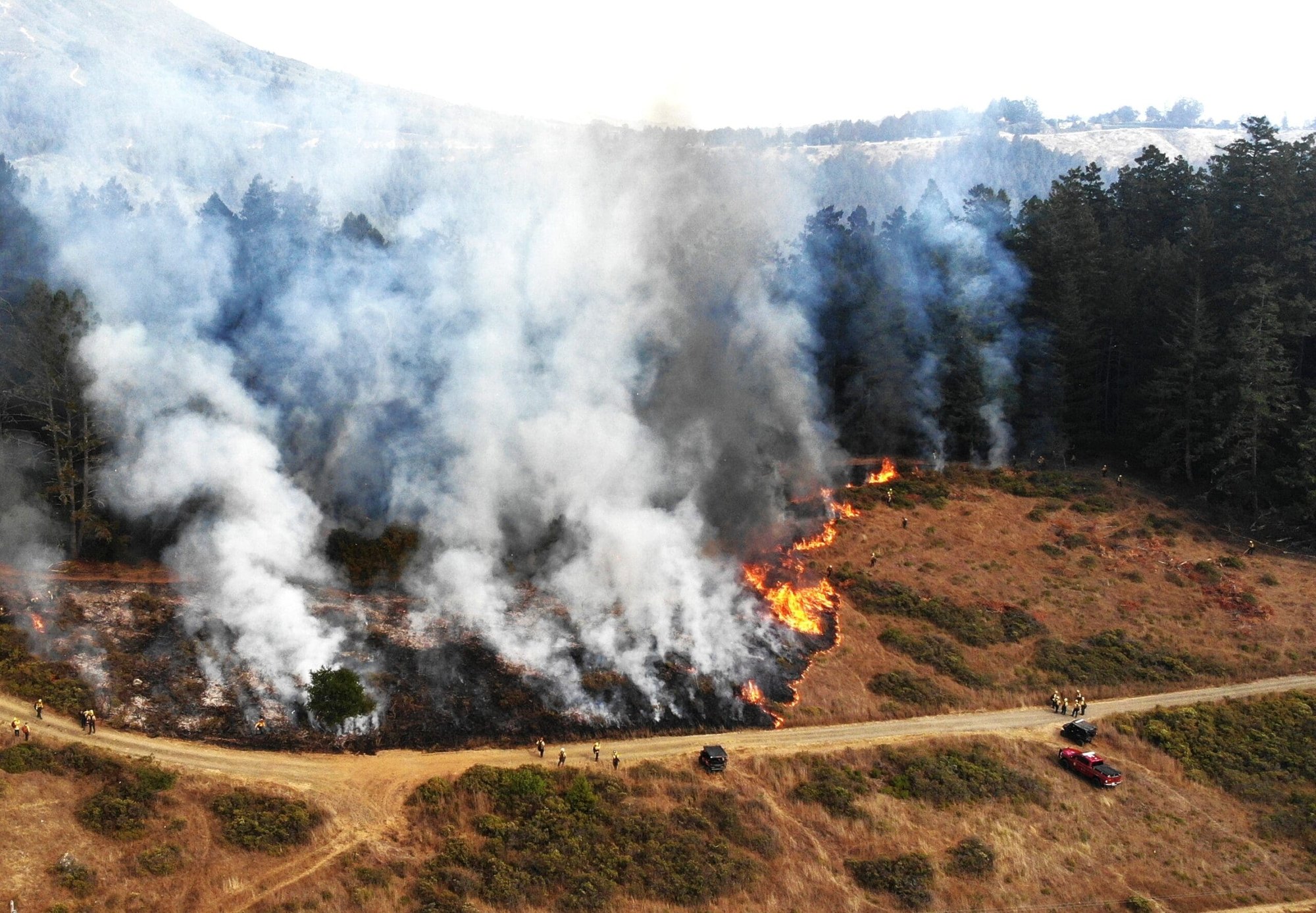 Large white smoke plumes rise from a hillside fire near a forested area, with vehicles and people along a dirt road.