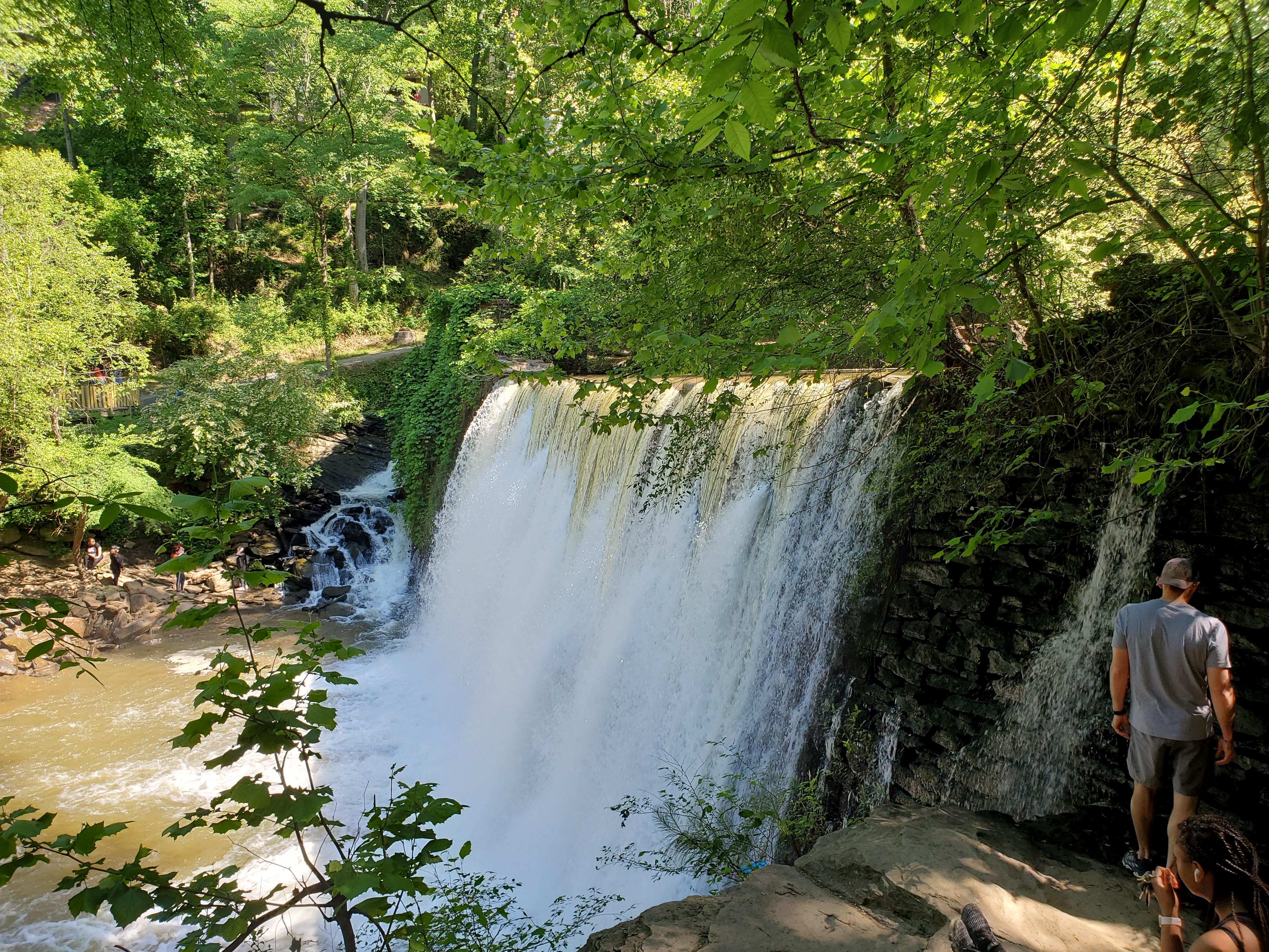 Waterfall cascading over a rock ledge surrounded by dense green forest.