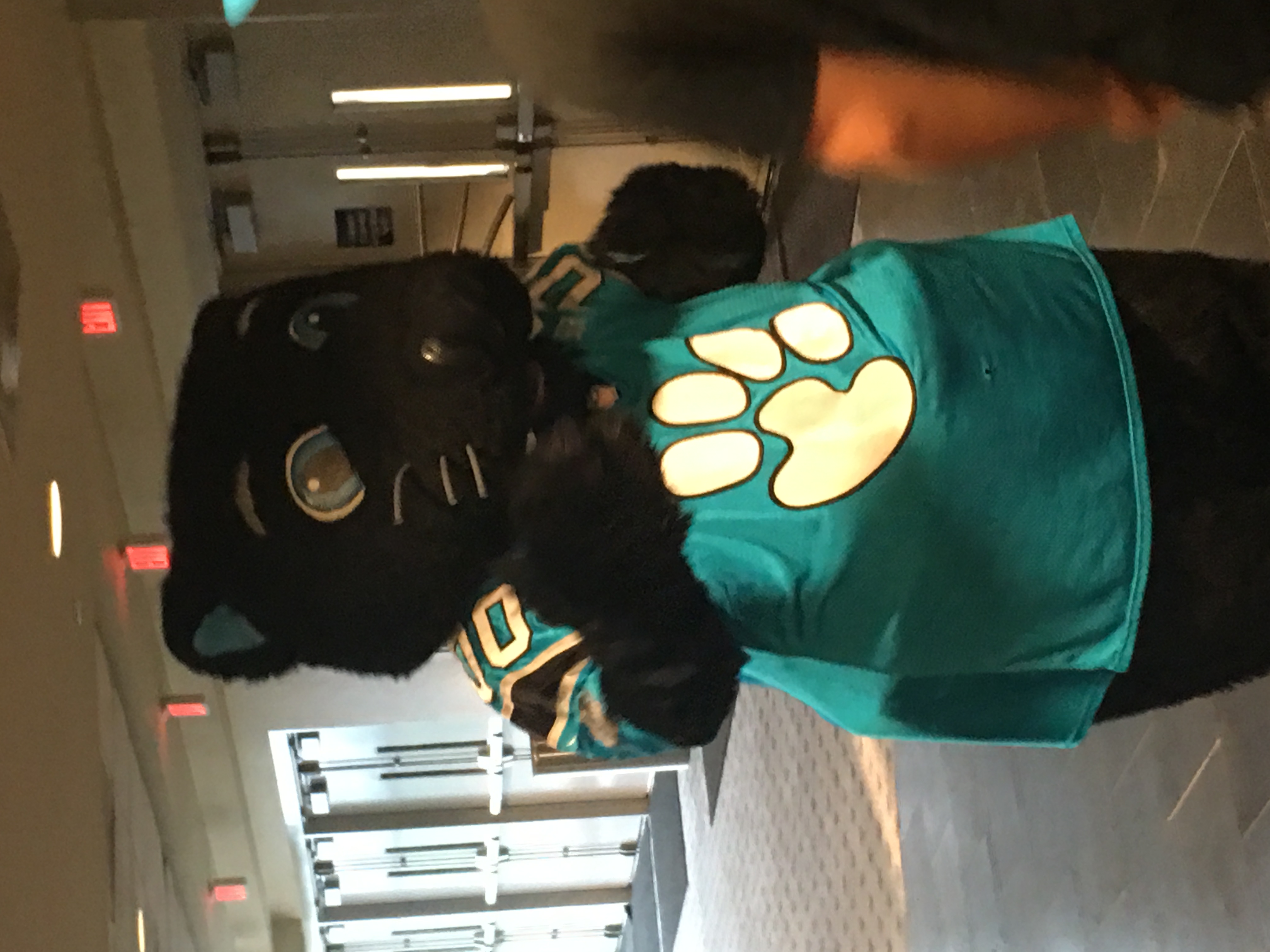 Black cat mascot in a teal jersey with a gold paw print stands indoors.