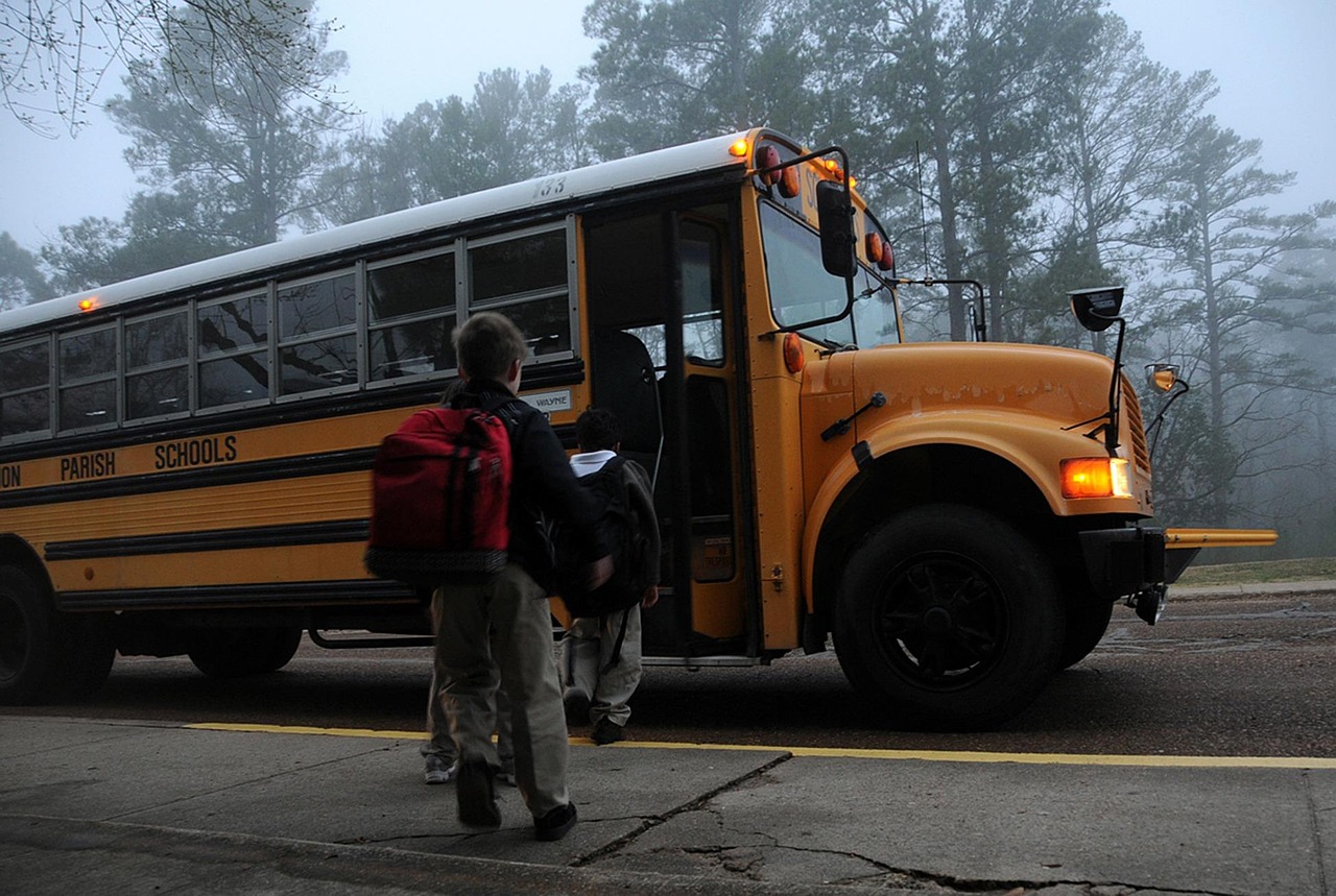 Back-to-school, school, pen, pencil, colored pencil, back to school, school year, students, learning, schools, pupils, e