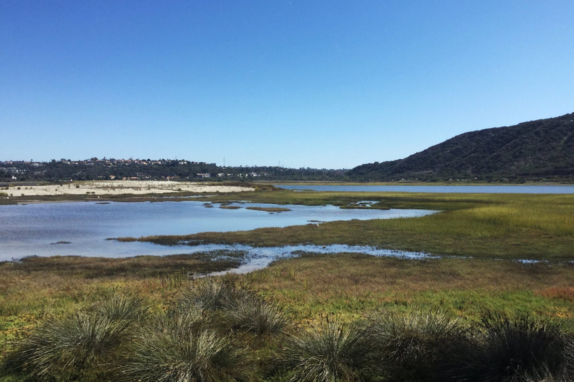 Eastern Side of Batiquitos Lagoon in Encinitas, CA photographed in 2021