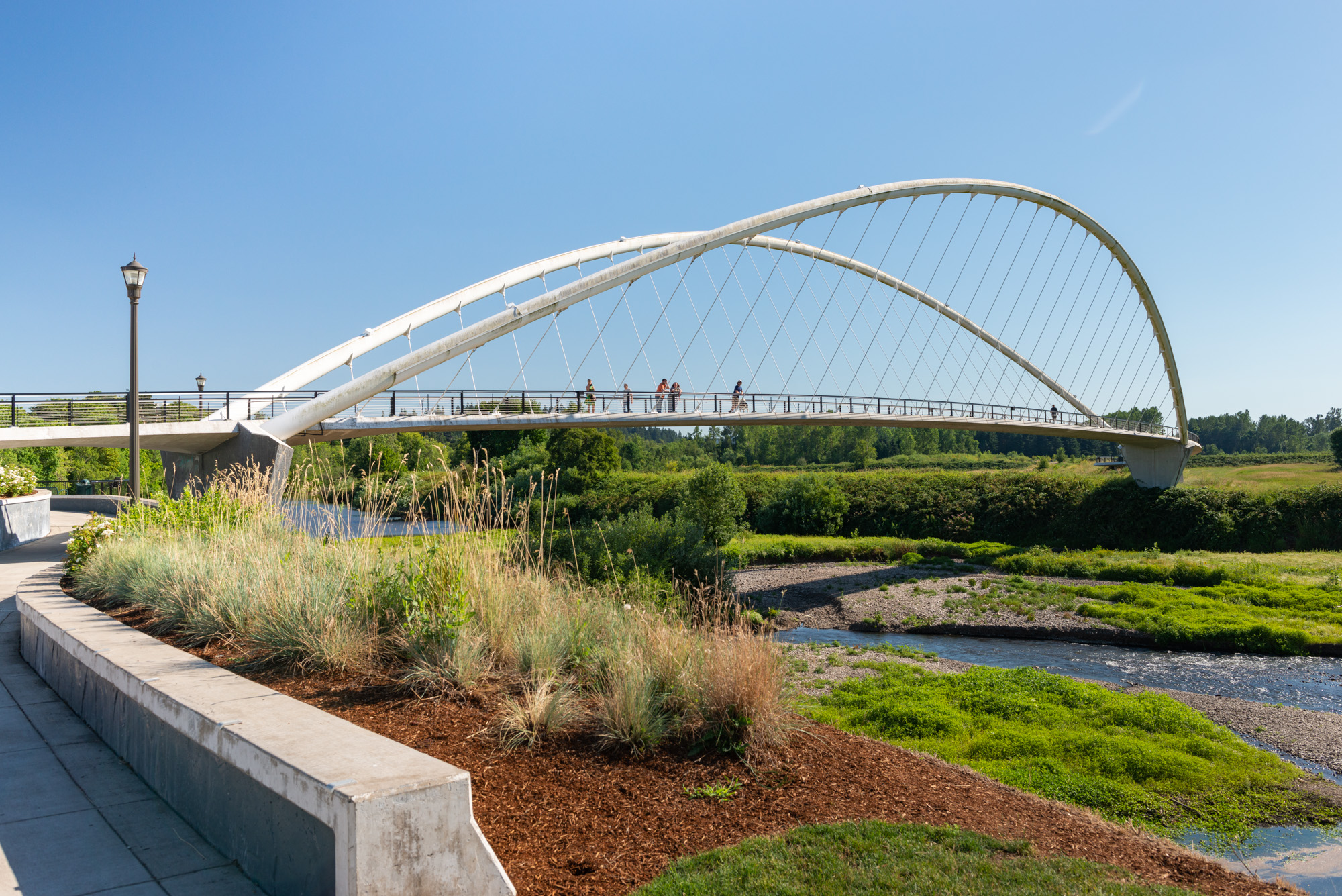 A white cable-stay arch bridge spans a river in a lush green park under blue skies.