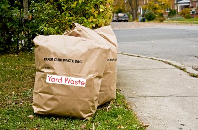 Brown paper yard waste bag on a grass tree lawn beside a sidewalk, surrounded by fallen autumn leaves.