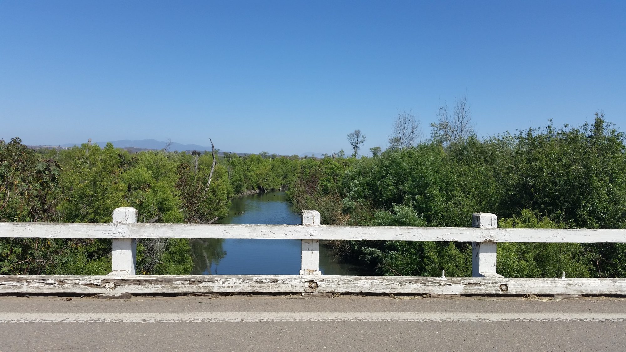 Tijuana River, looking East from the Hollister Street bridge