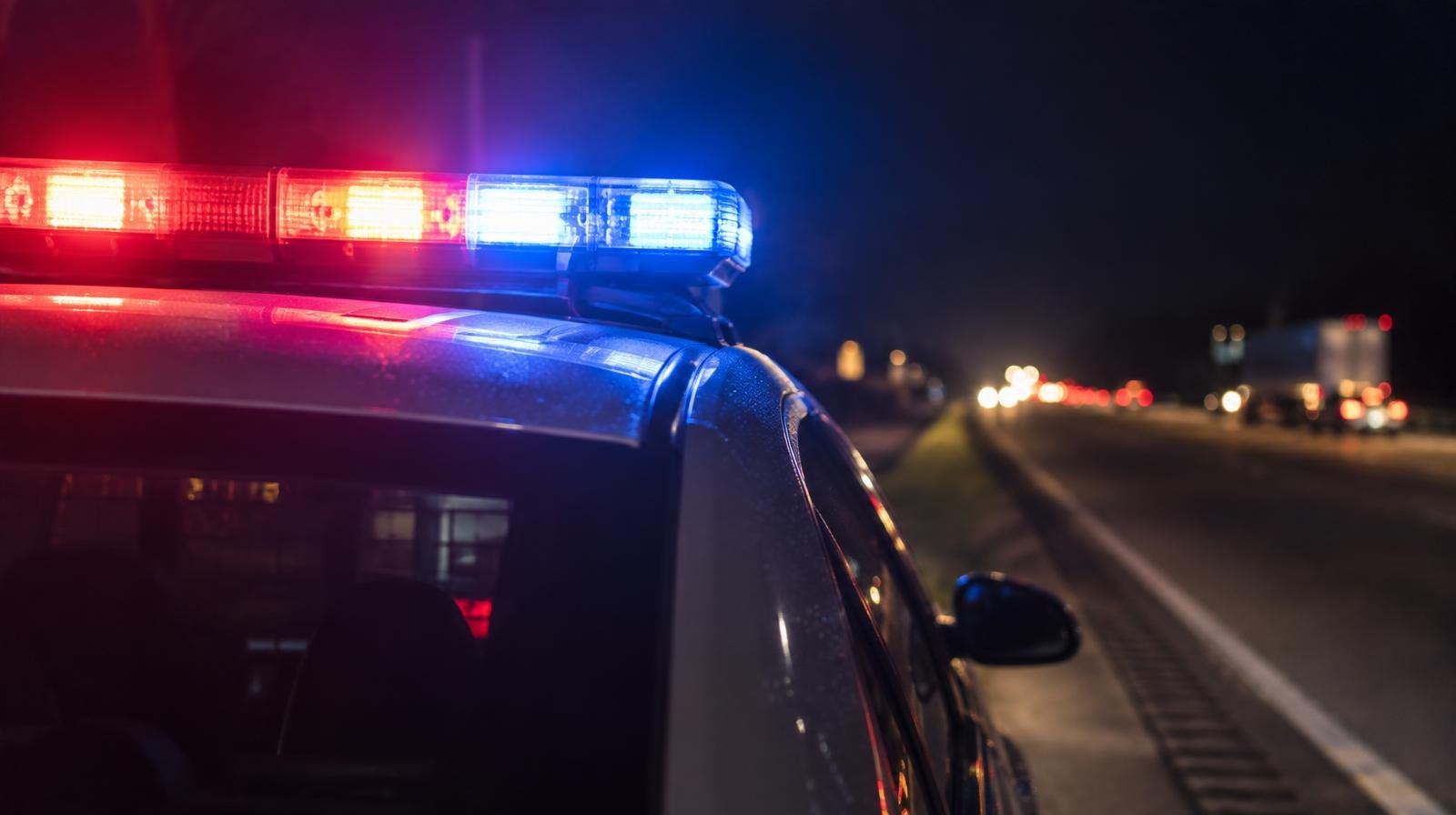 Red and blue police emergency lights glowing on a dark highway shoulder at night.