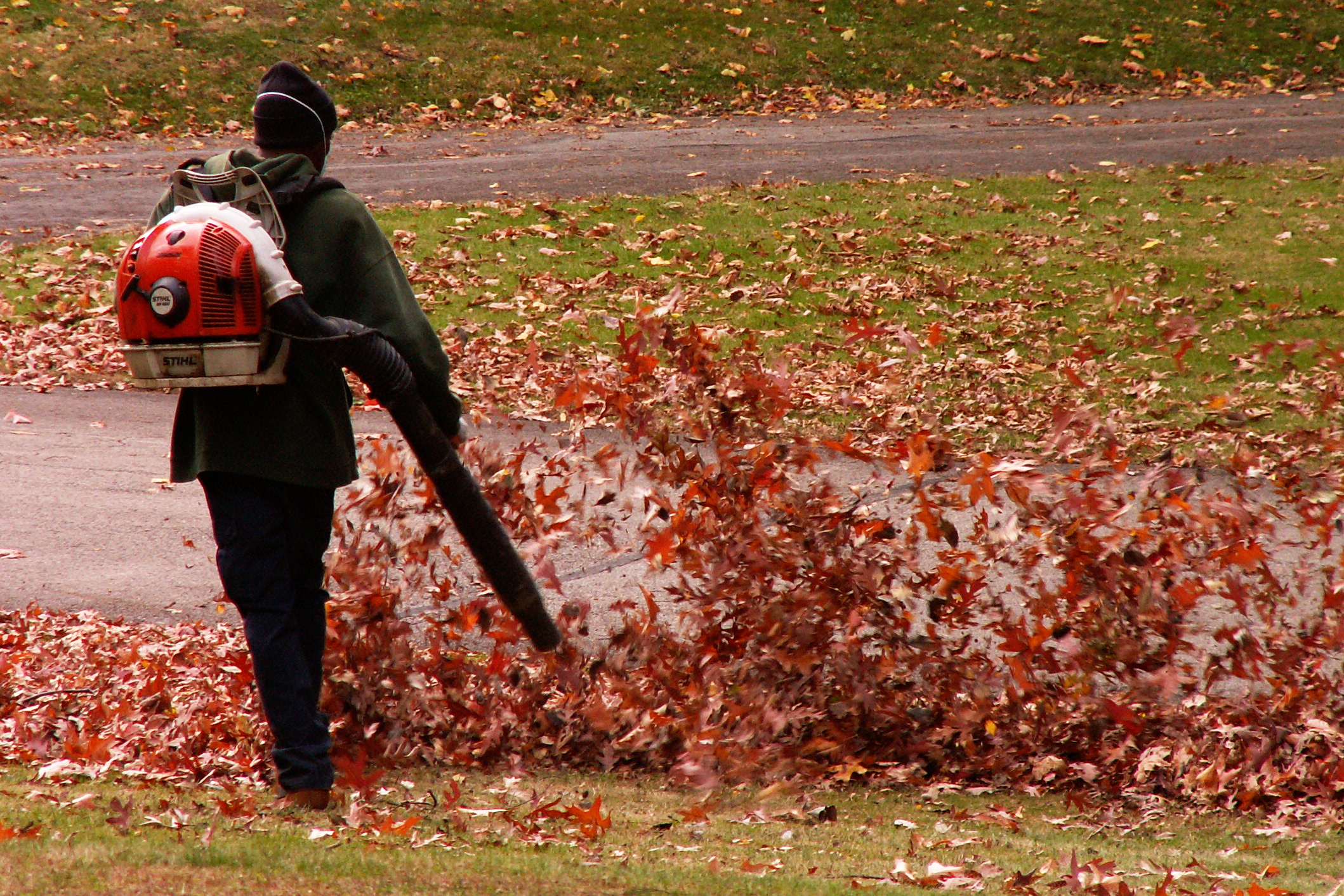 A person operating a red backpack leaf blower on a leaf-covered lawn.