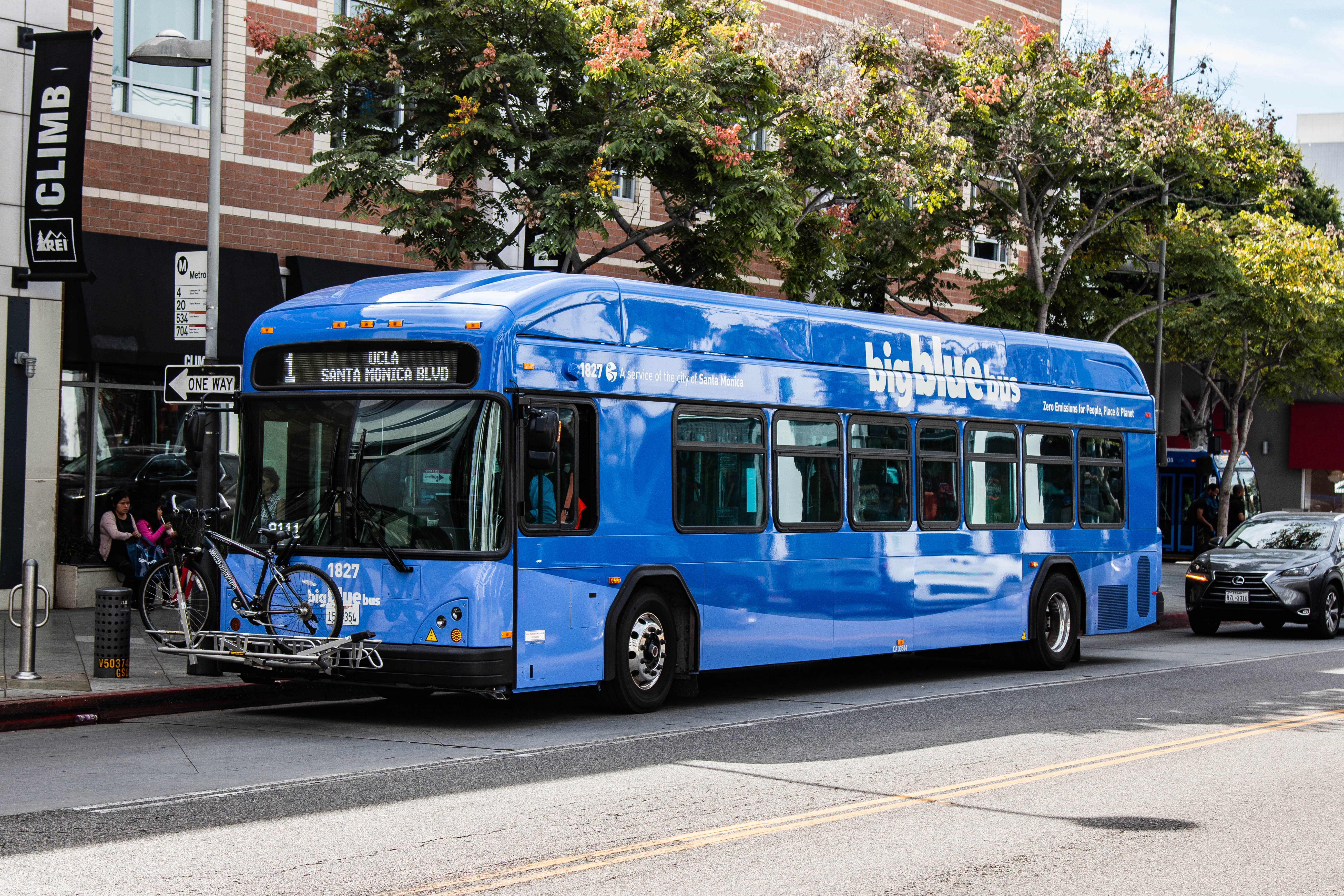 A Big Blue Bus Route 1 vehicle travels along a city street in Santa Monica.