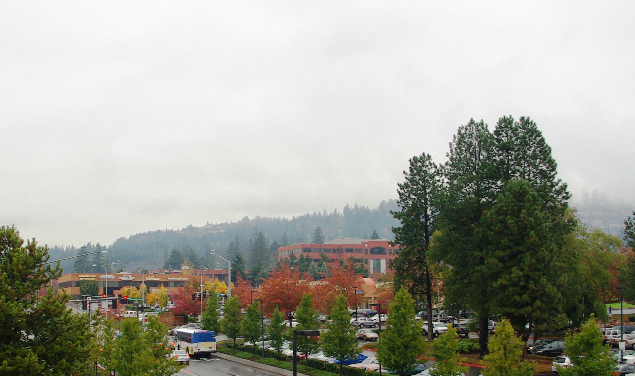 Overcast suburban view with fall-colored trees, commercial buildings, parking lots, and foggy forested hills.