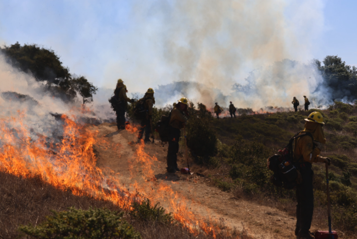 Firefighters in protective gear monitor flames and smoke during a prescribed burn on a hillside at Angel Island State Park.