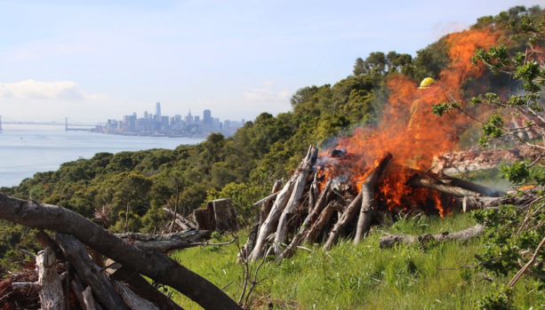 A prescribed burn crew ignites a pile of brush on a grassy hillside, with the San Francisco skyline visible across the bay in the background.