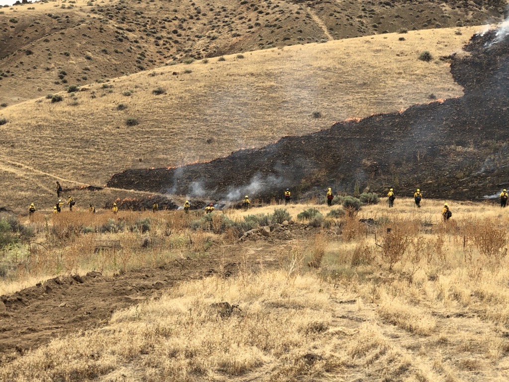 Firefighters in yellow gear working along the edge of a grass fire on a hillside with burned ground and smoke.