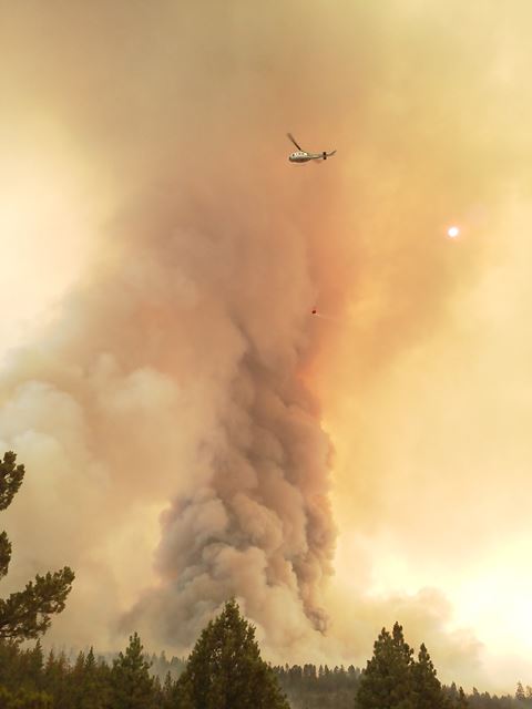 A firefighting aircraft flies above a massive smoke column rising from a burning conifer forest.