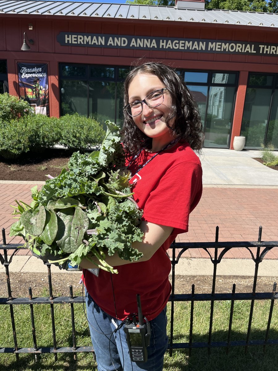 Person in a red shirt holding a large bunch of freshly harvested kale outside a historic building at Naper Settlement.