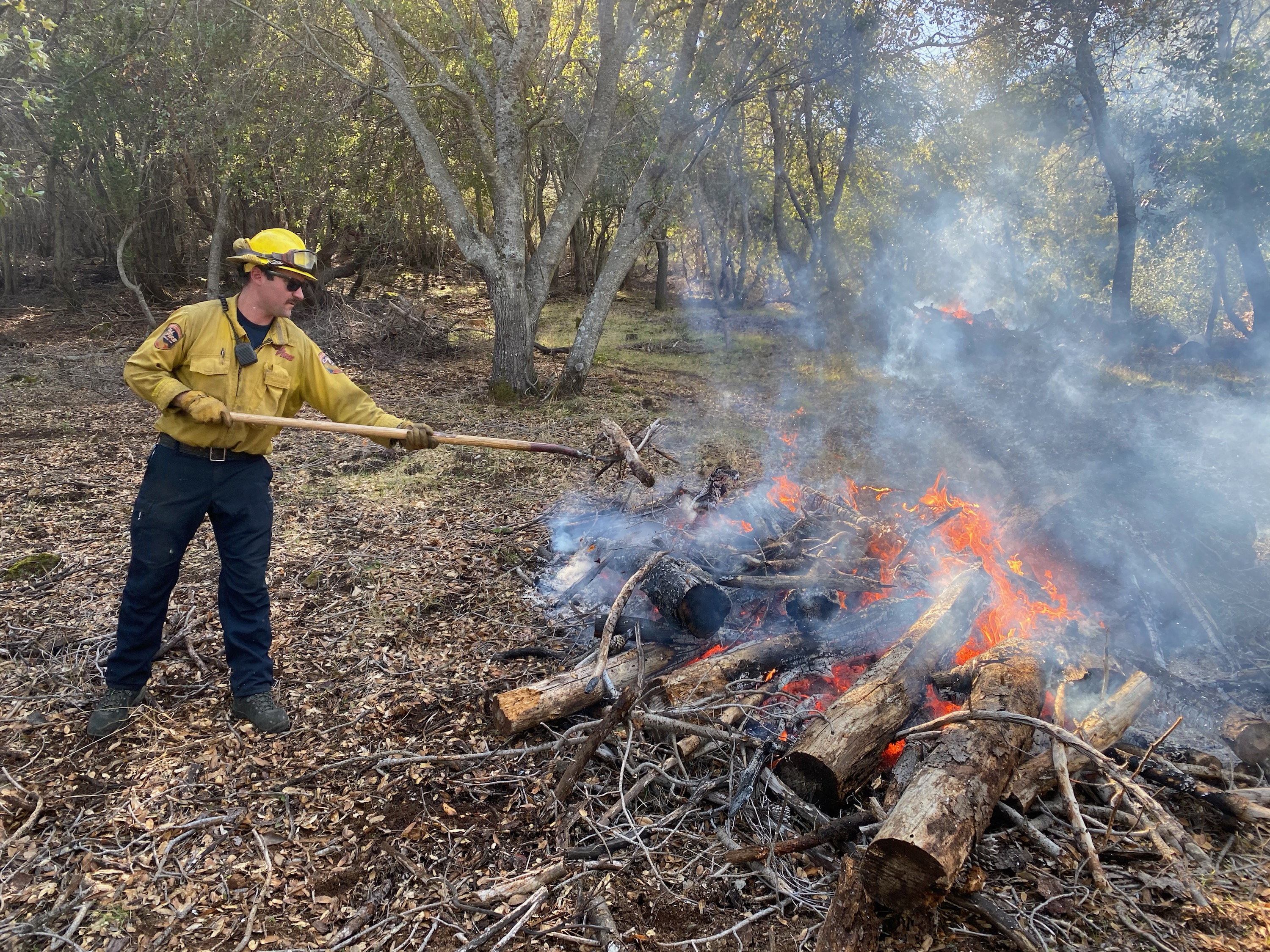 A firefighter in yellow gear uses a long tool to manage a burning brush pile in a forest.