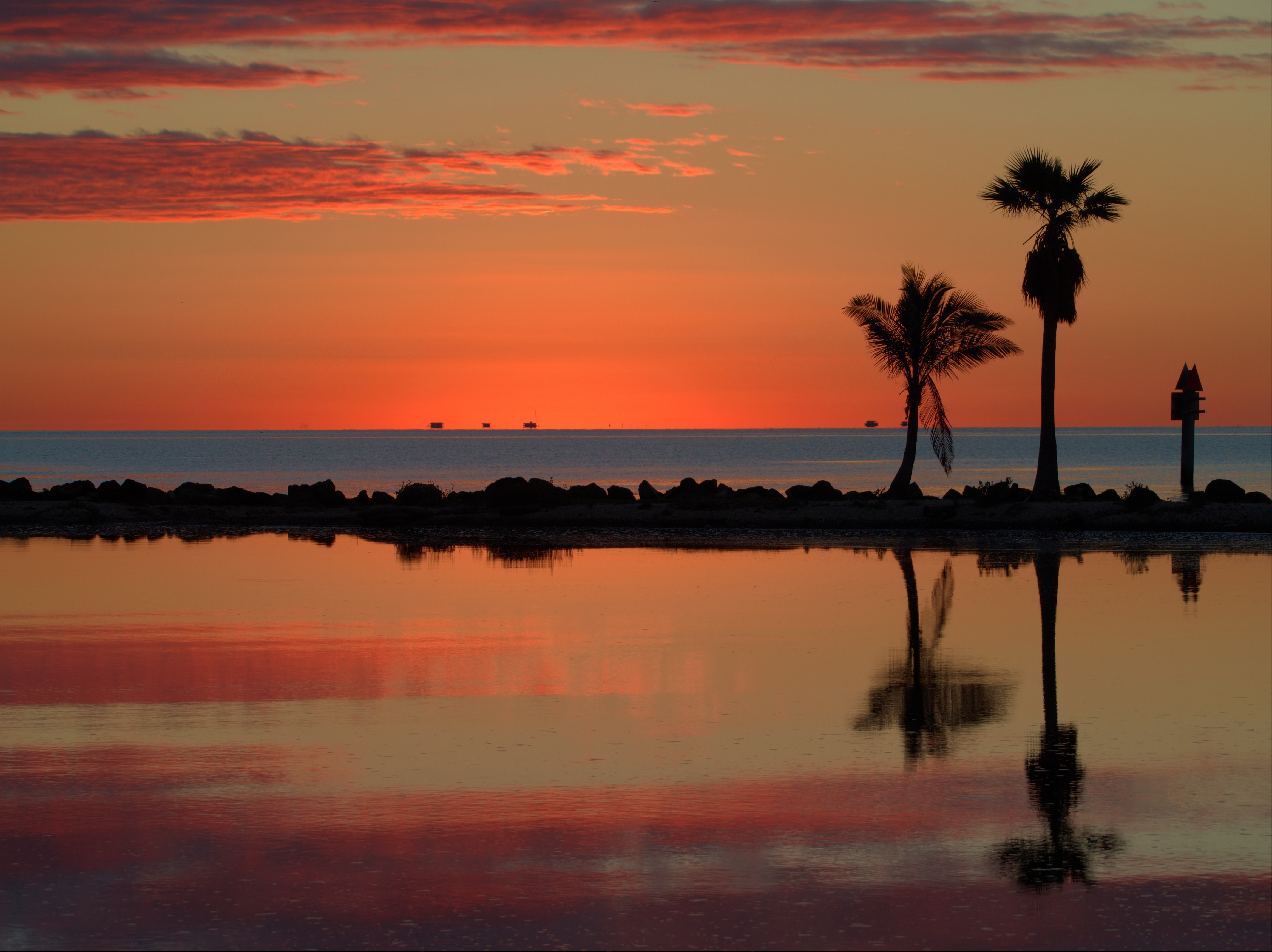 Palm tree silhouettes reflected in still water under a vivid orange pre-sunrise sky.