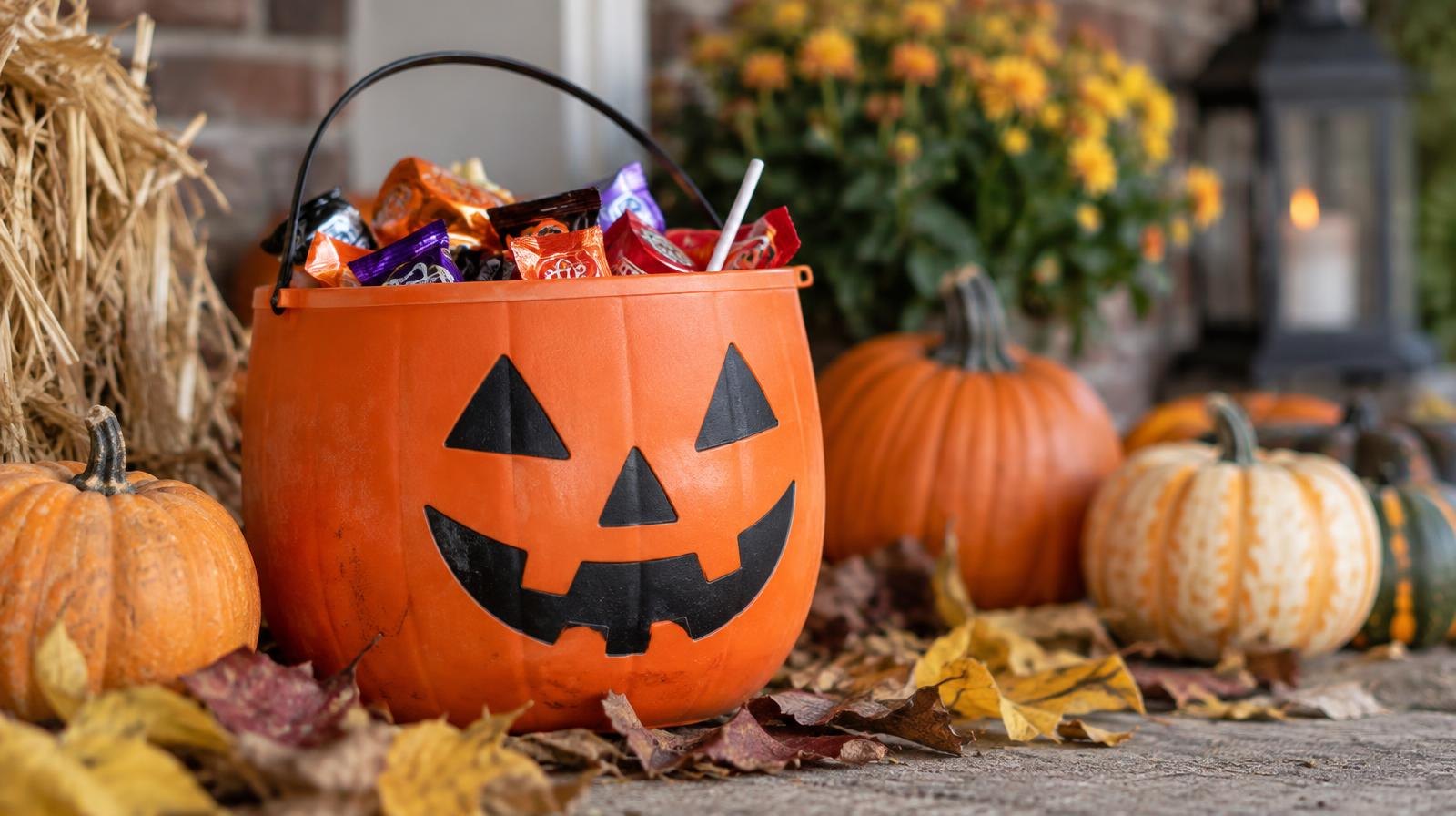 Halloween candy in an orange jack-o'-lantern bucket surrounded by autumn leaves and small pumpkins.