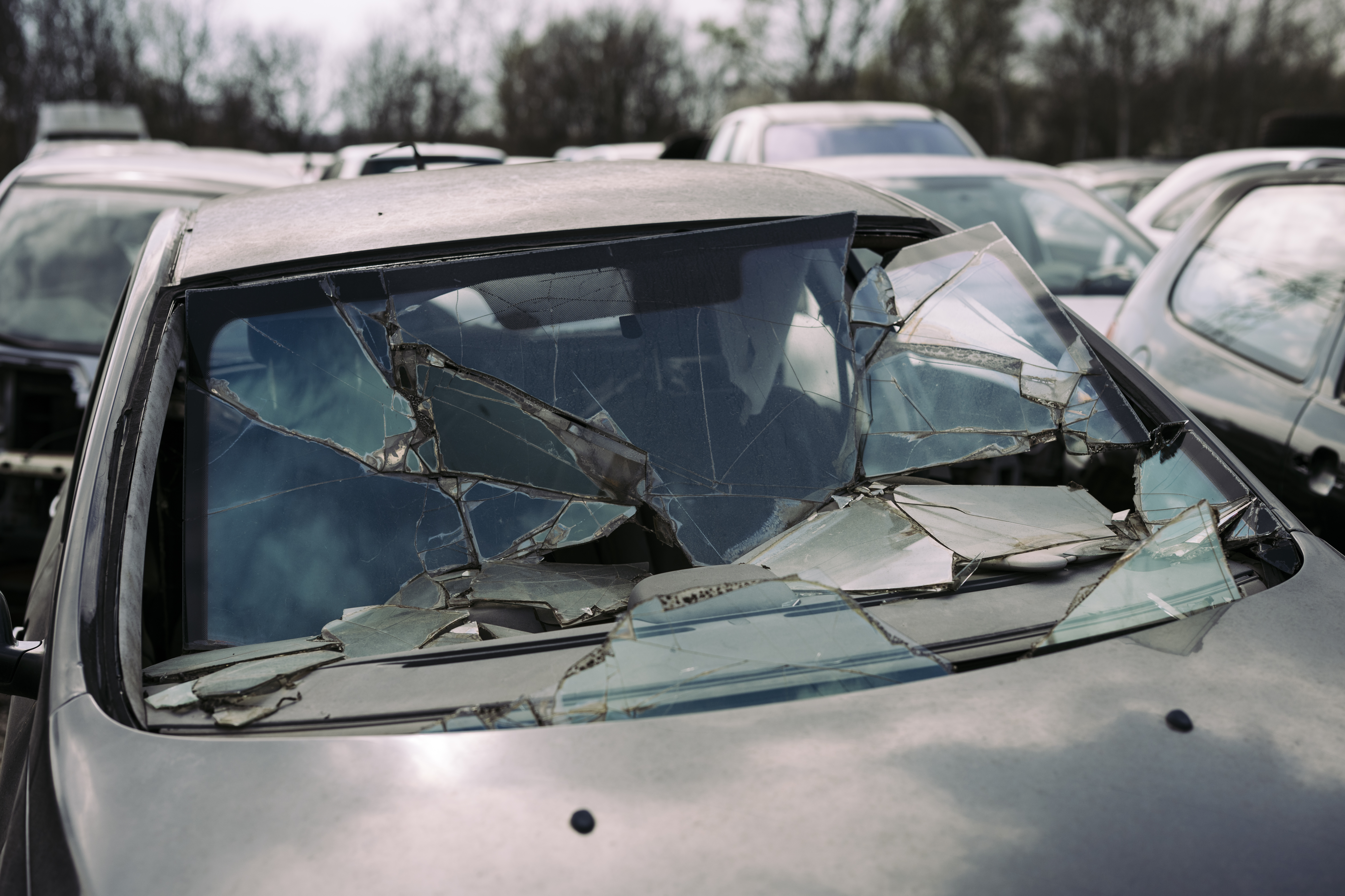 A car windshield shattered into many fragments, glass still in the frame.