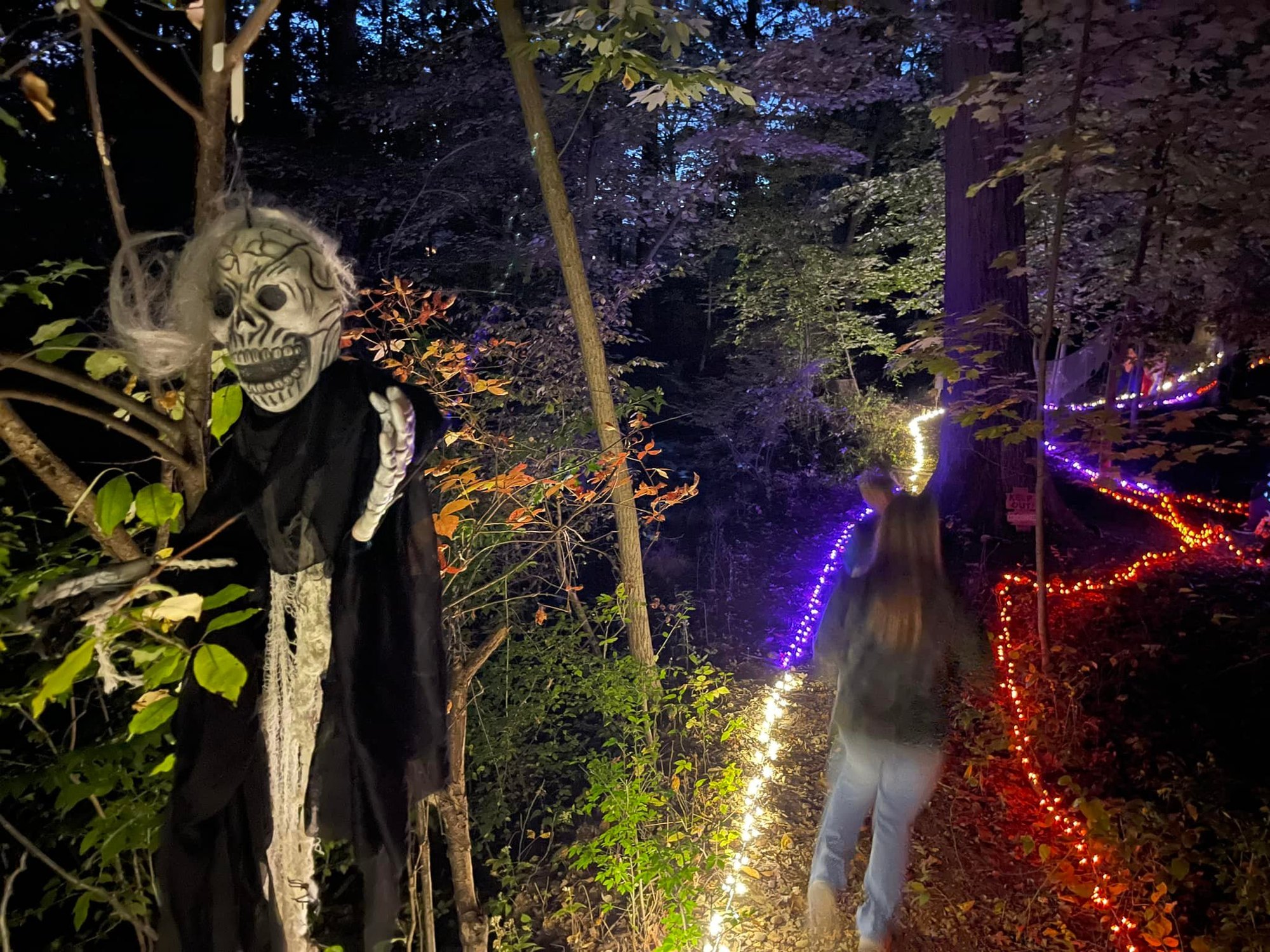 A skeleton decoration hangs from a tree along a night trail lit with red and purple string lights.