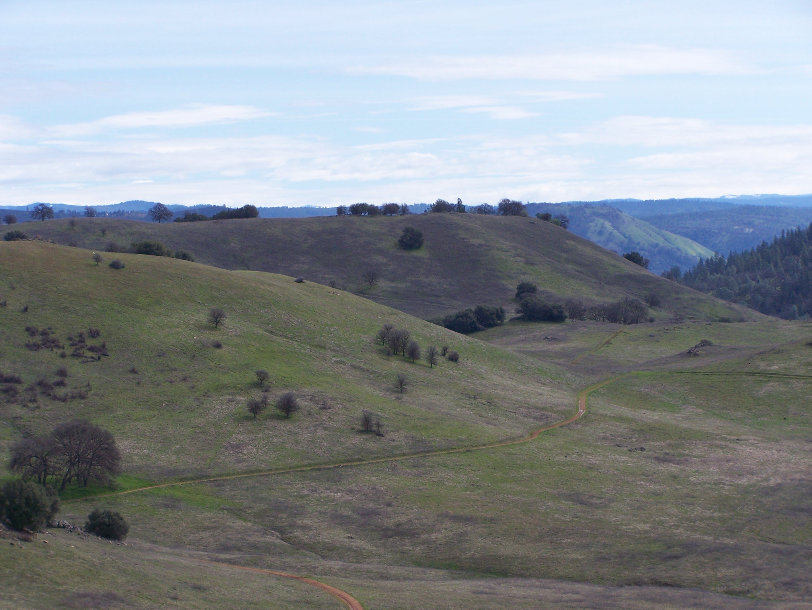 Dirt trail curving through grassy rolling hills dotted with oak trees.