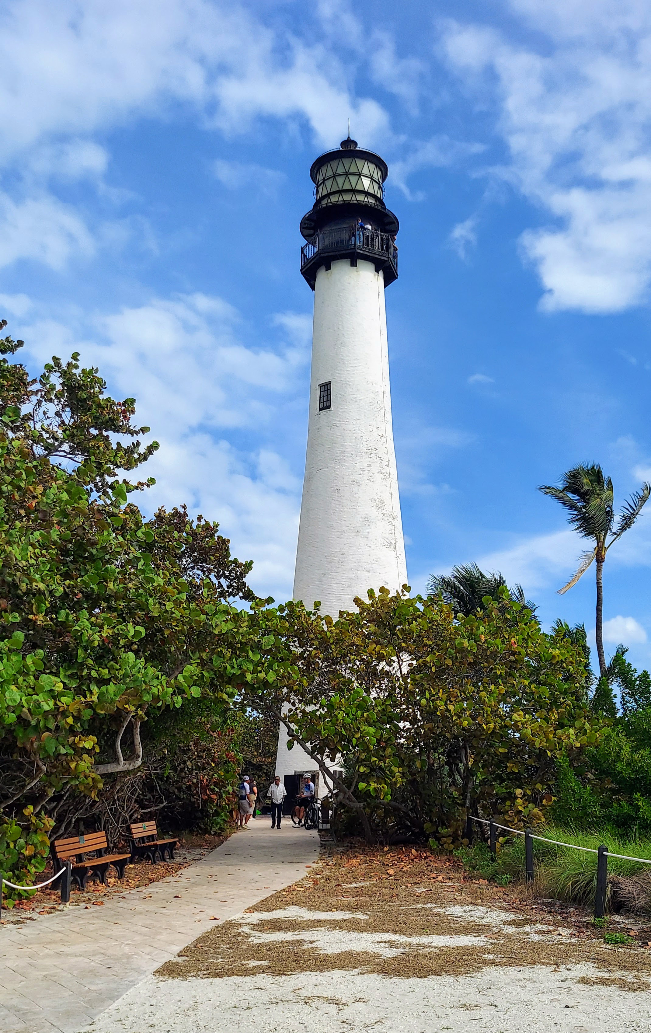 Tall white lighthouse surrounded by palm trees along a sandy pedestrian path under a blue sky.