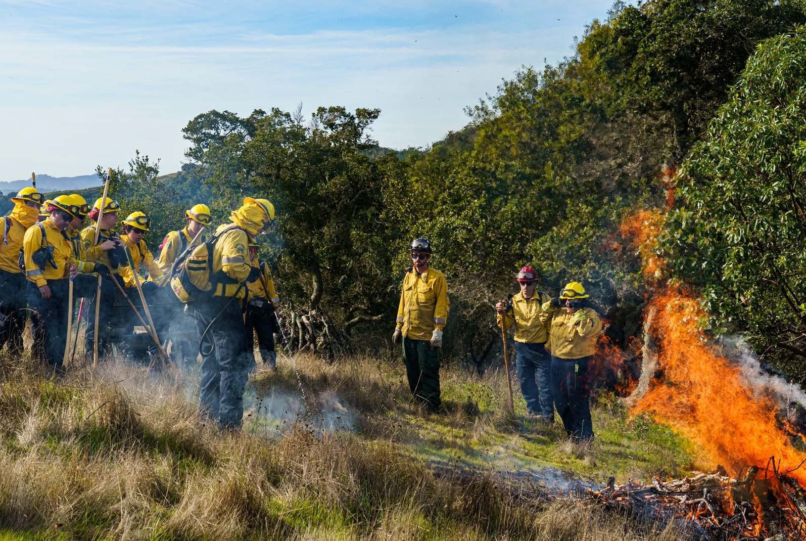 Firefighters in yellow jackets and hard hats stand near flames and smoke on a hillside holding hand tools.